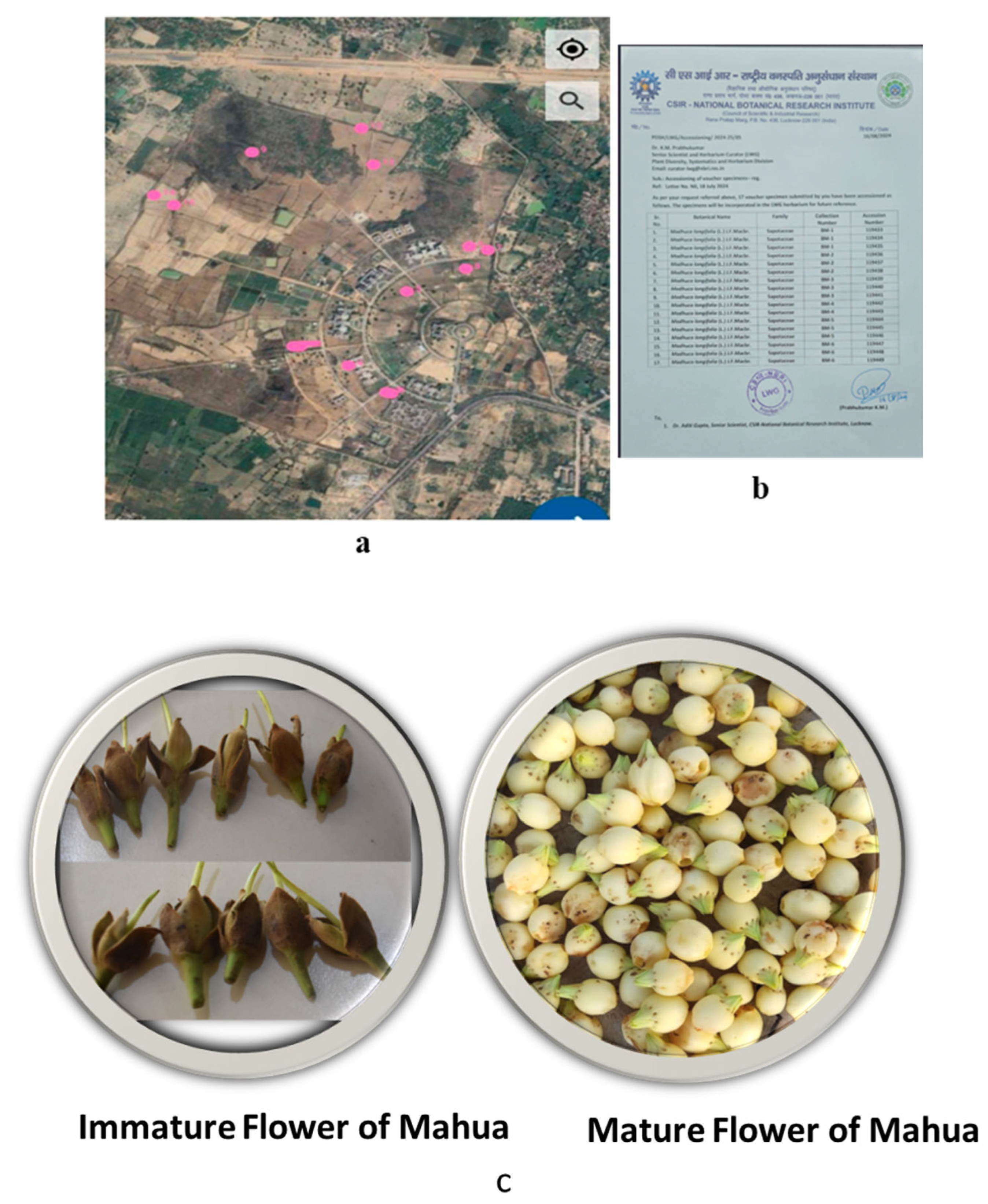 Preprints 199582 g009