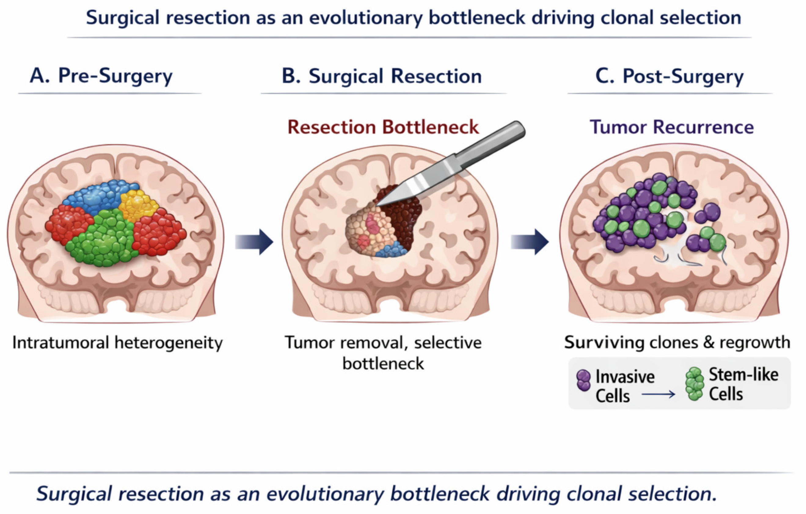 Preprints 199364 g002