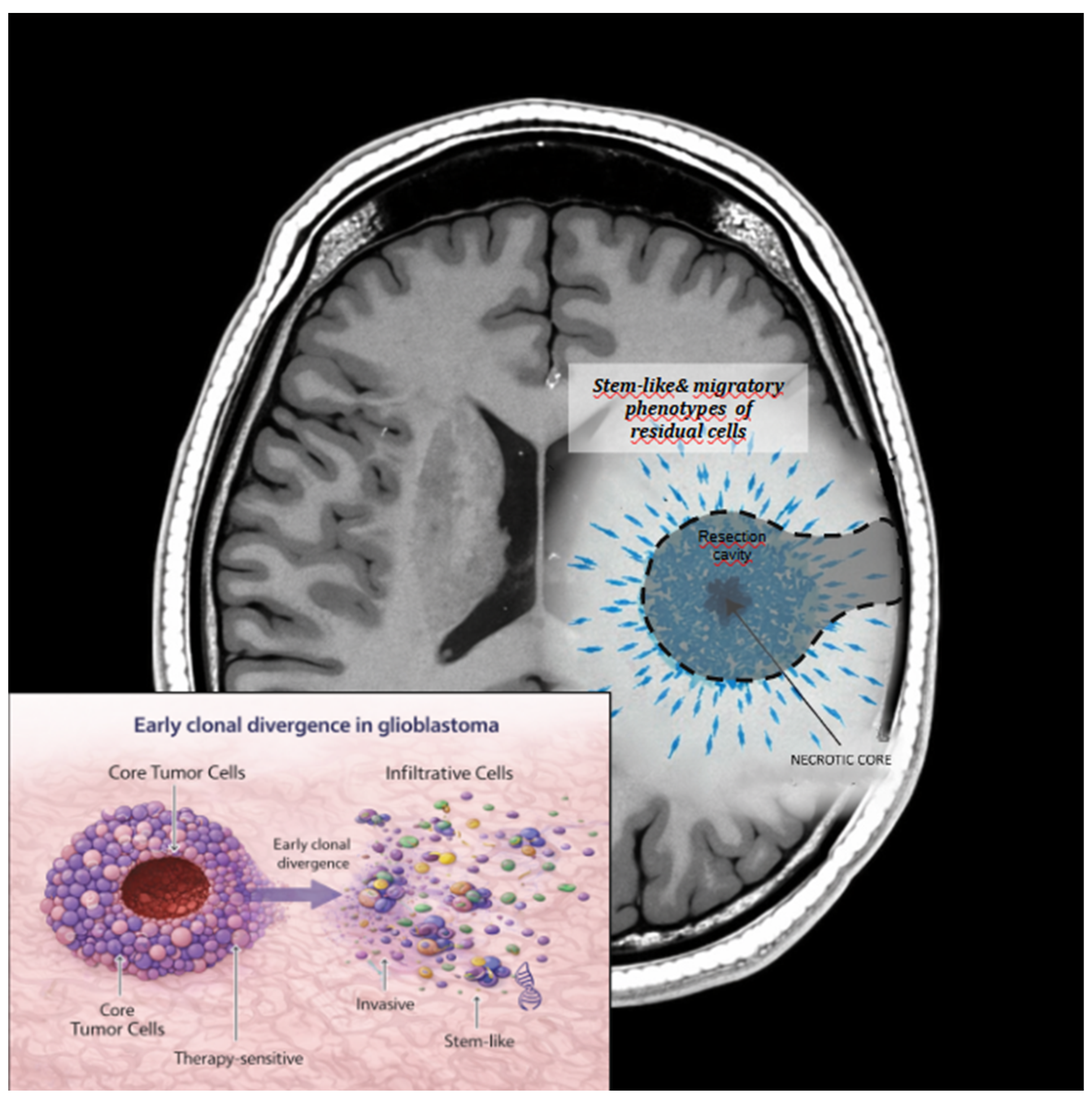 Preprints 199364 g003