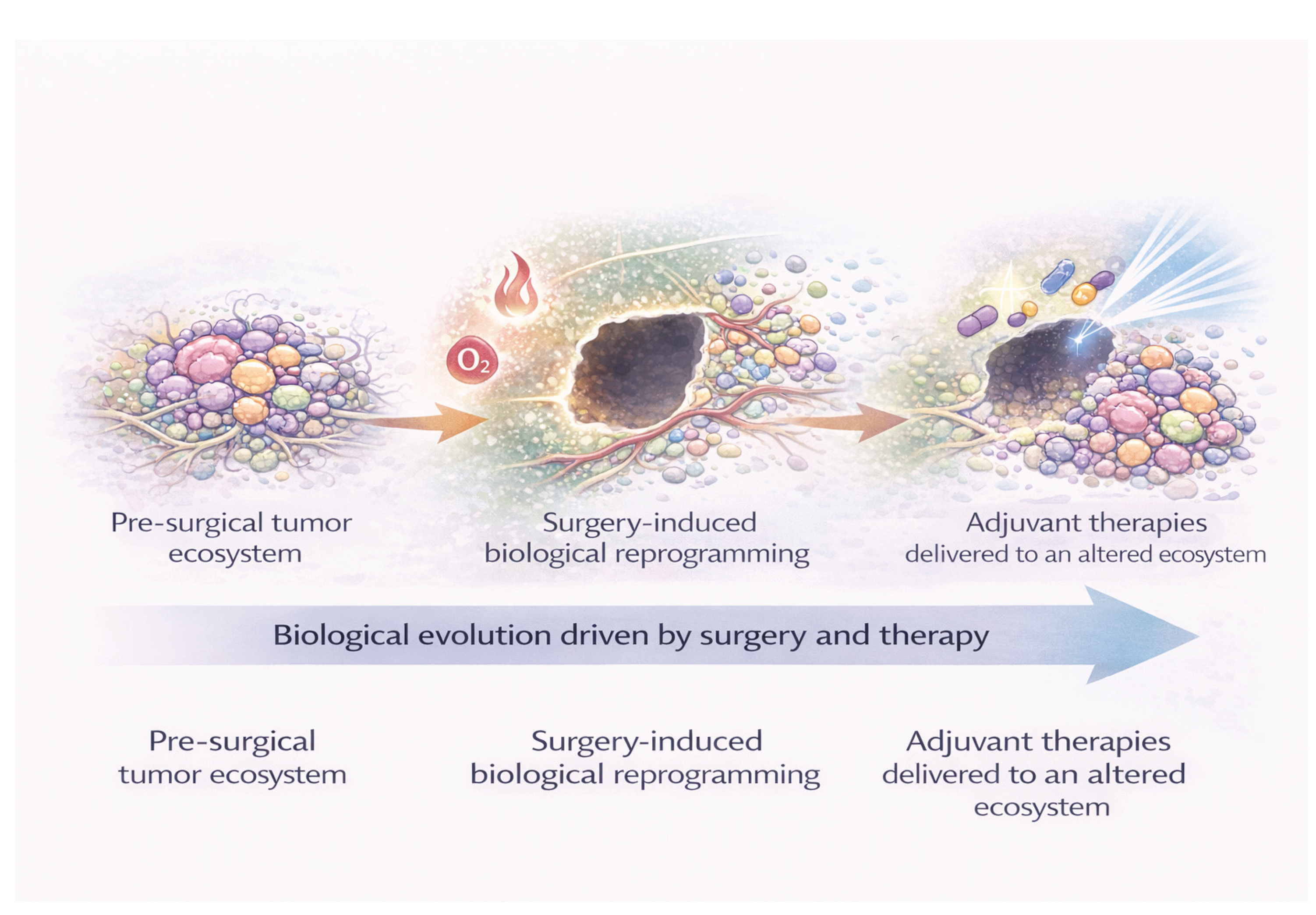 Preprints 199364 g005