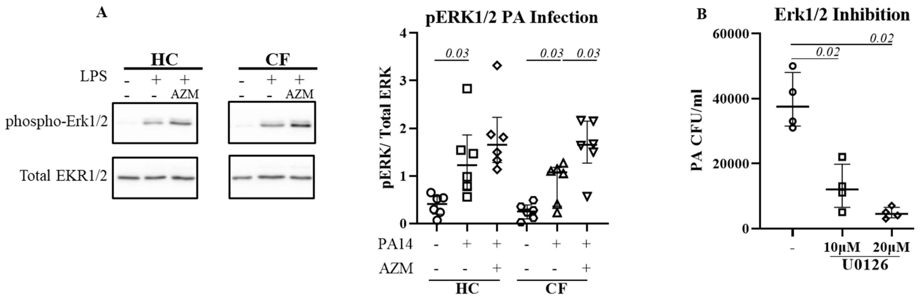 Preprints 94194 g002