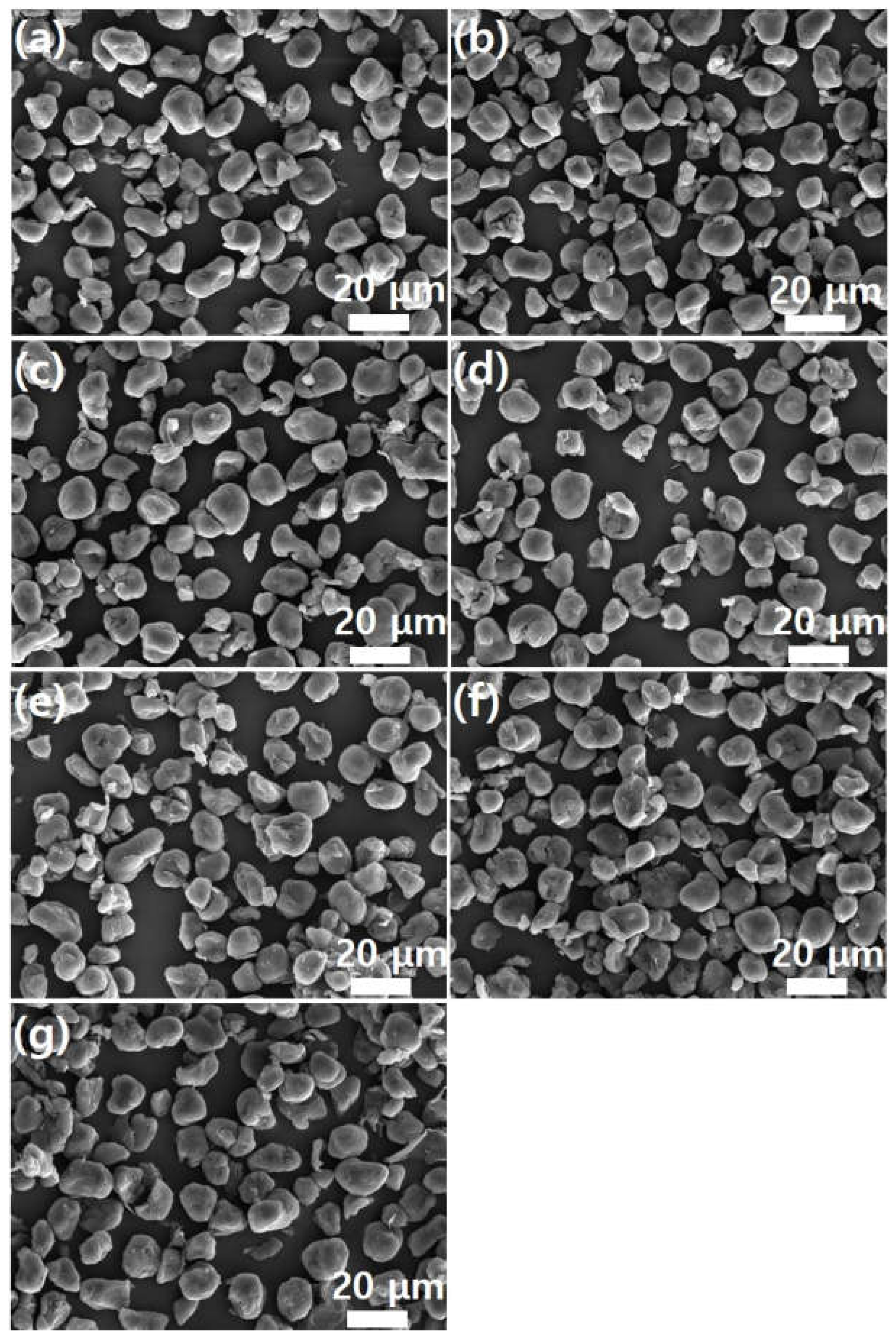 Preprints 148104 g005