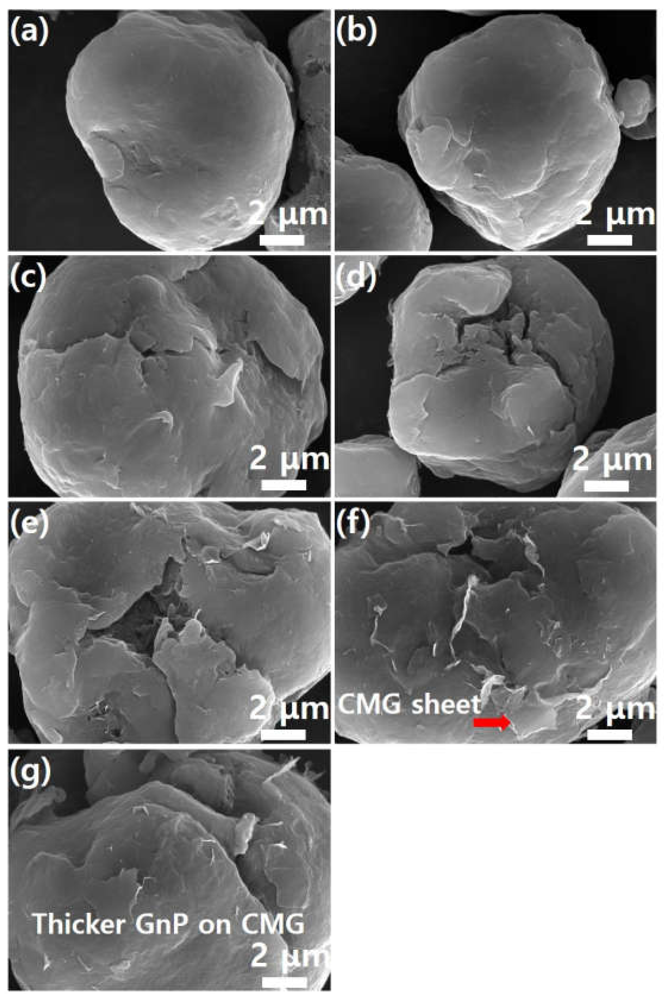 Preprints 148104 g006