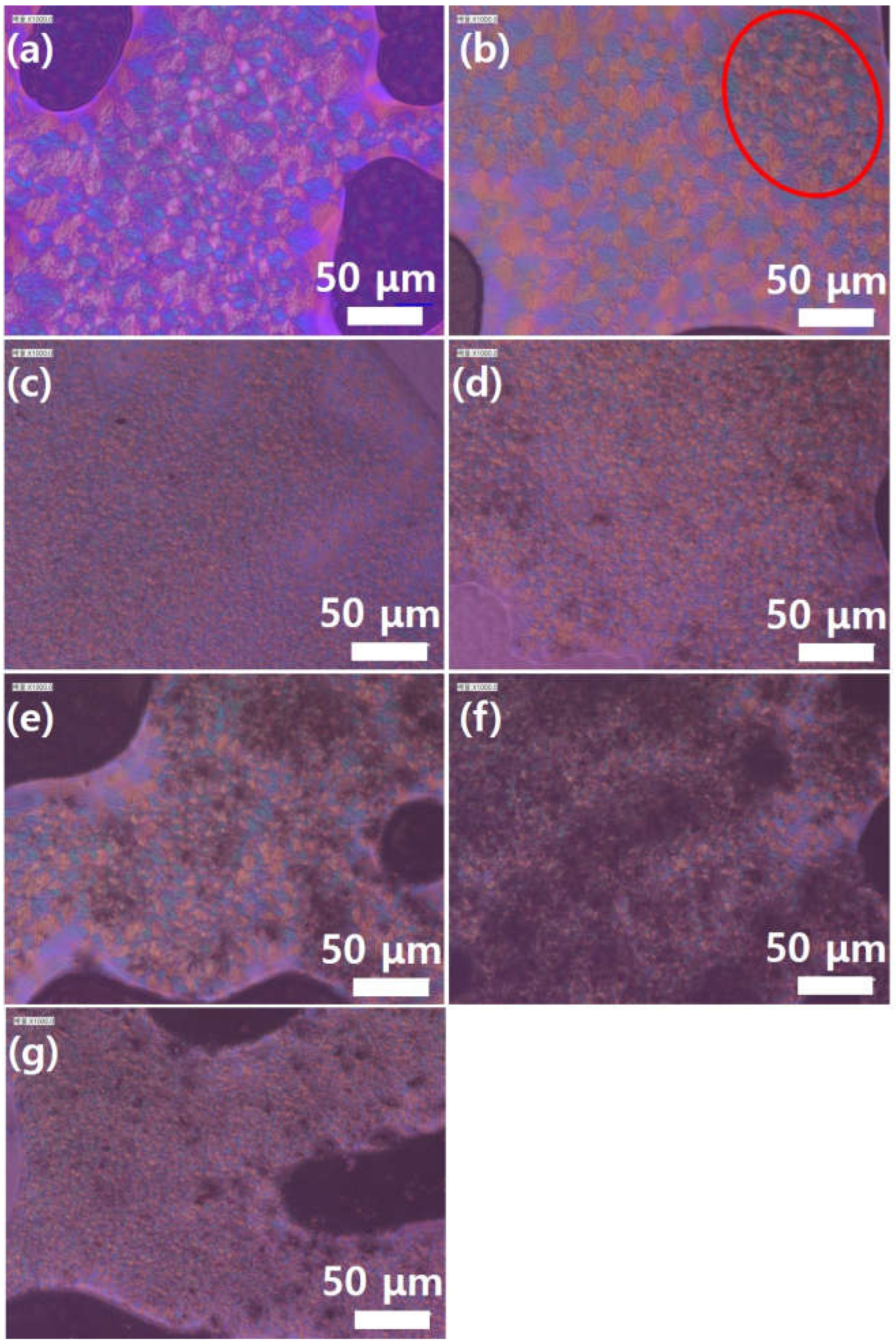 Preprints 148104 g009