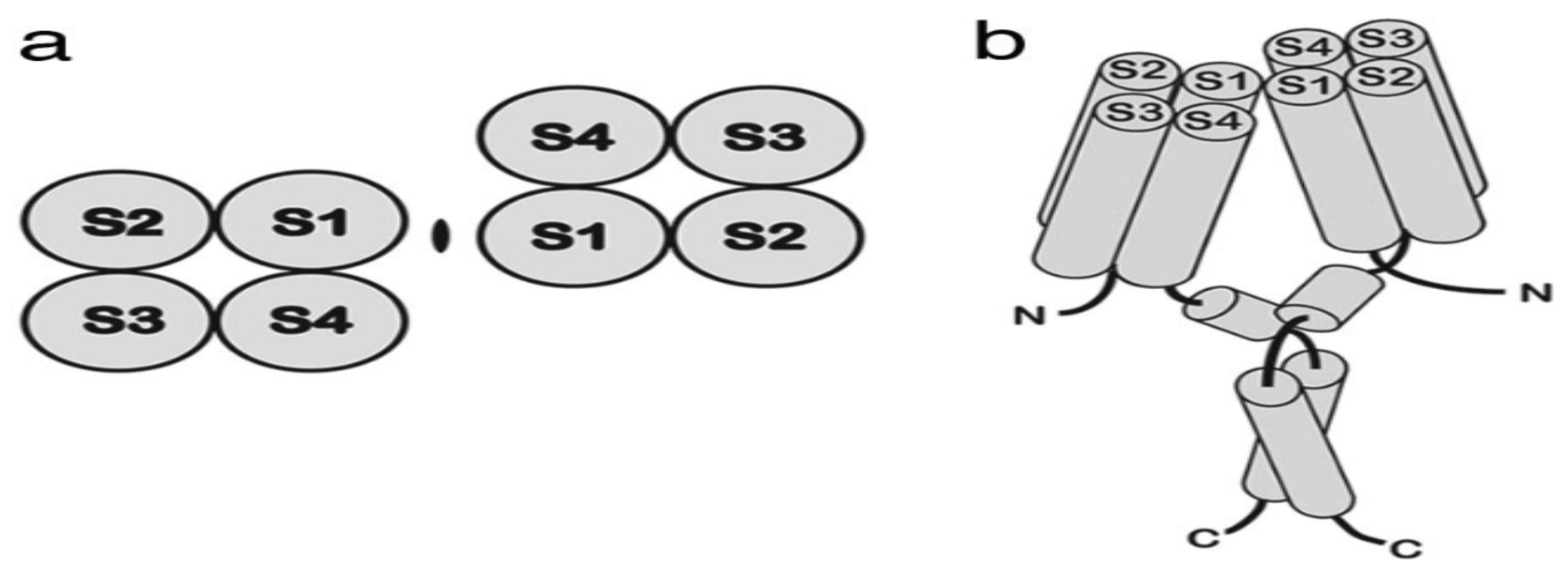 Preprints 143886 g001