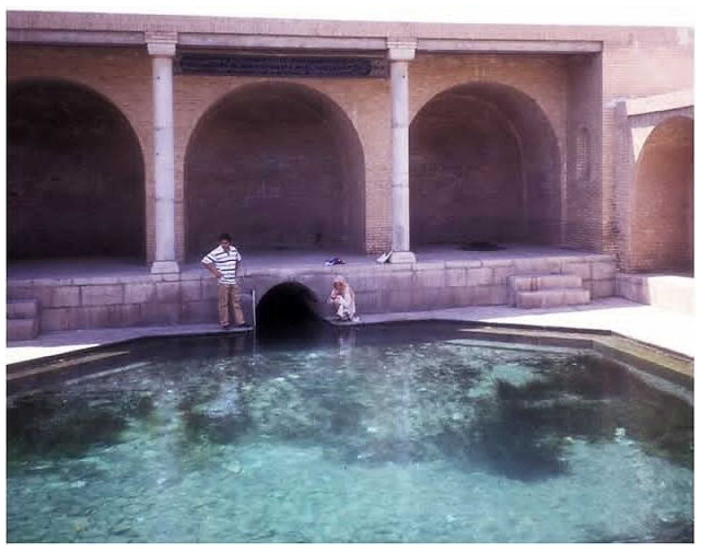 Preprints 162509 g002