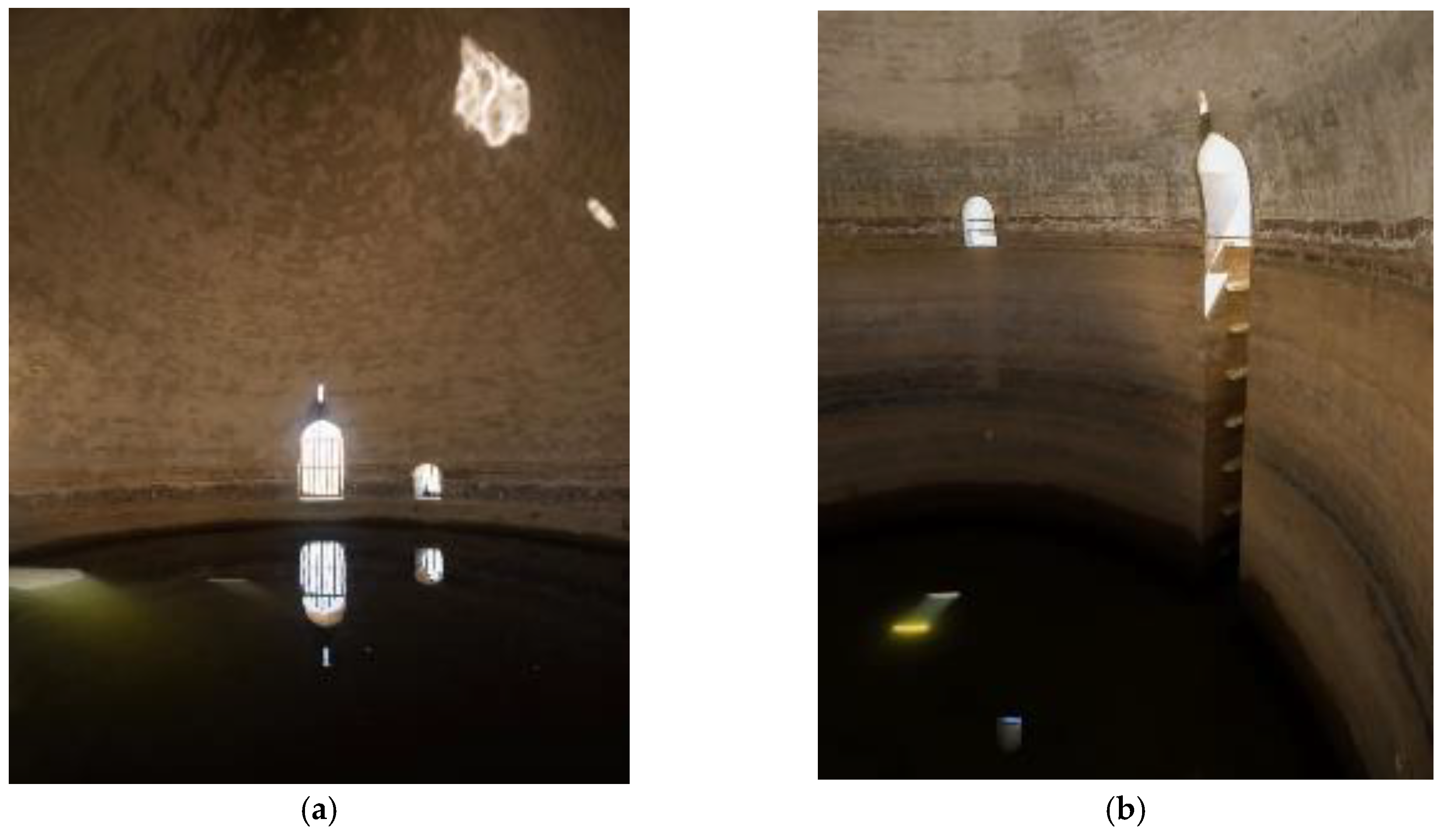 Preprints 162509 g004