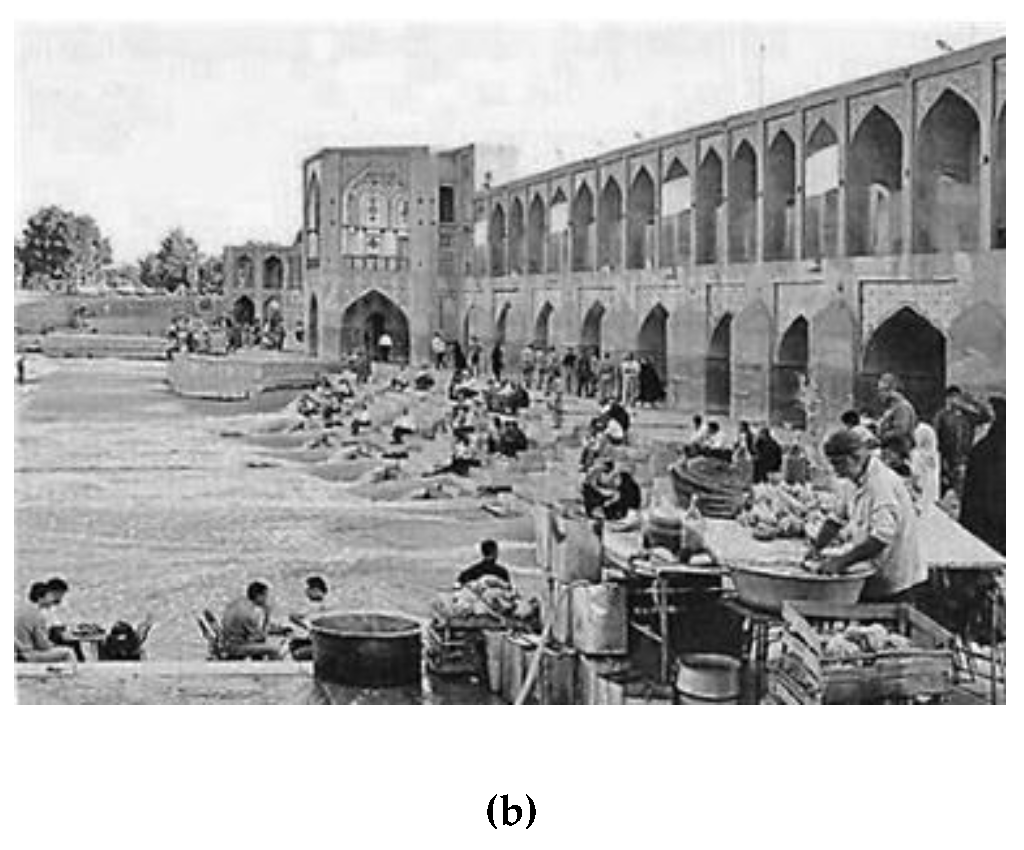 Preprints 162509 g007b