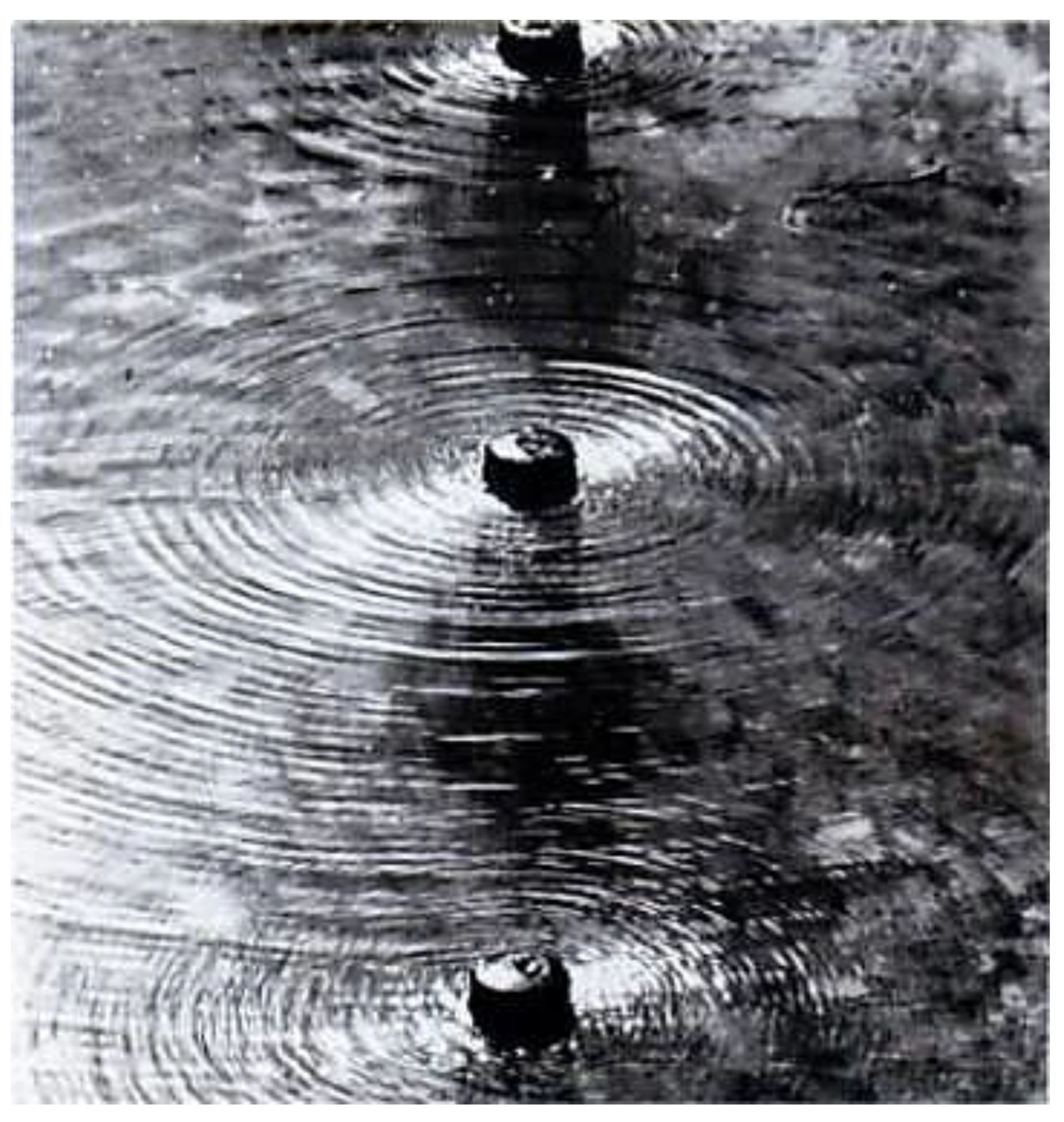 Preprints 162509 g013