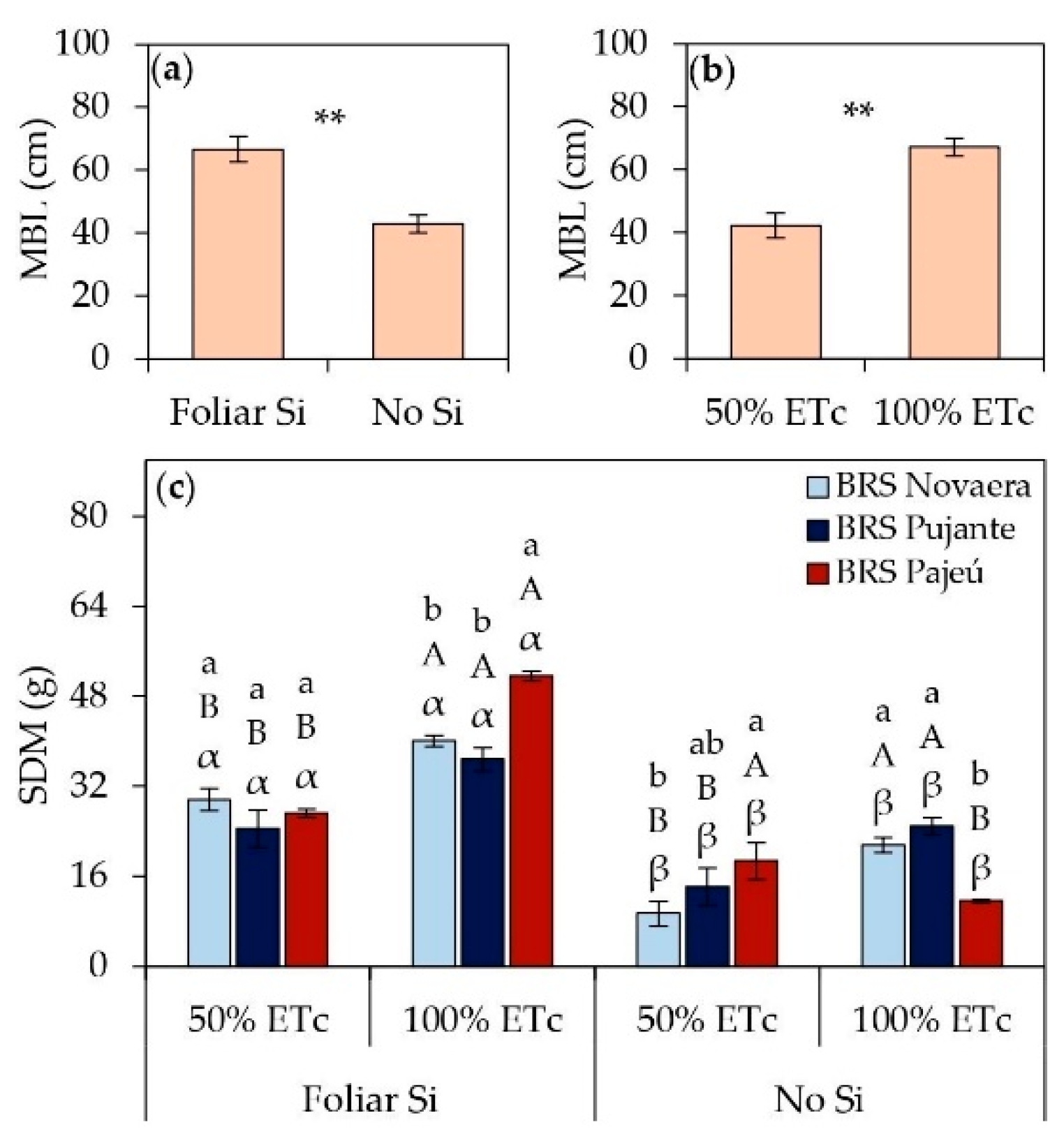 Preprints 153716 g004