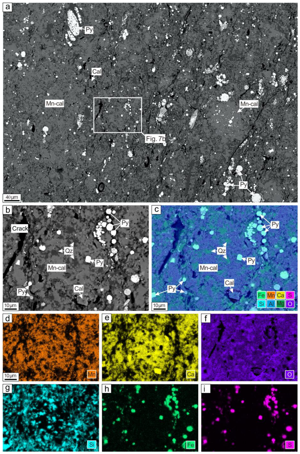 Preprints 228791 g007 Preprints 228791 g007