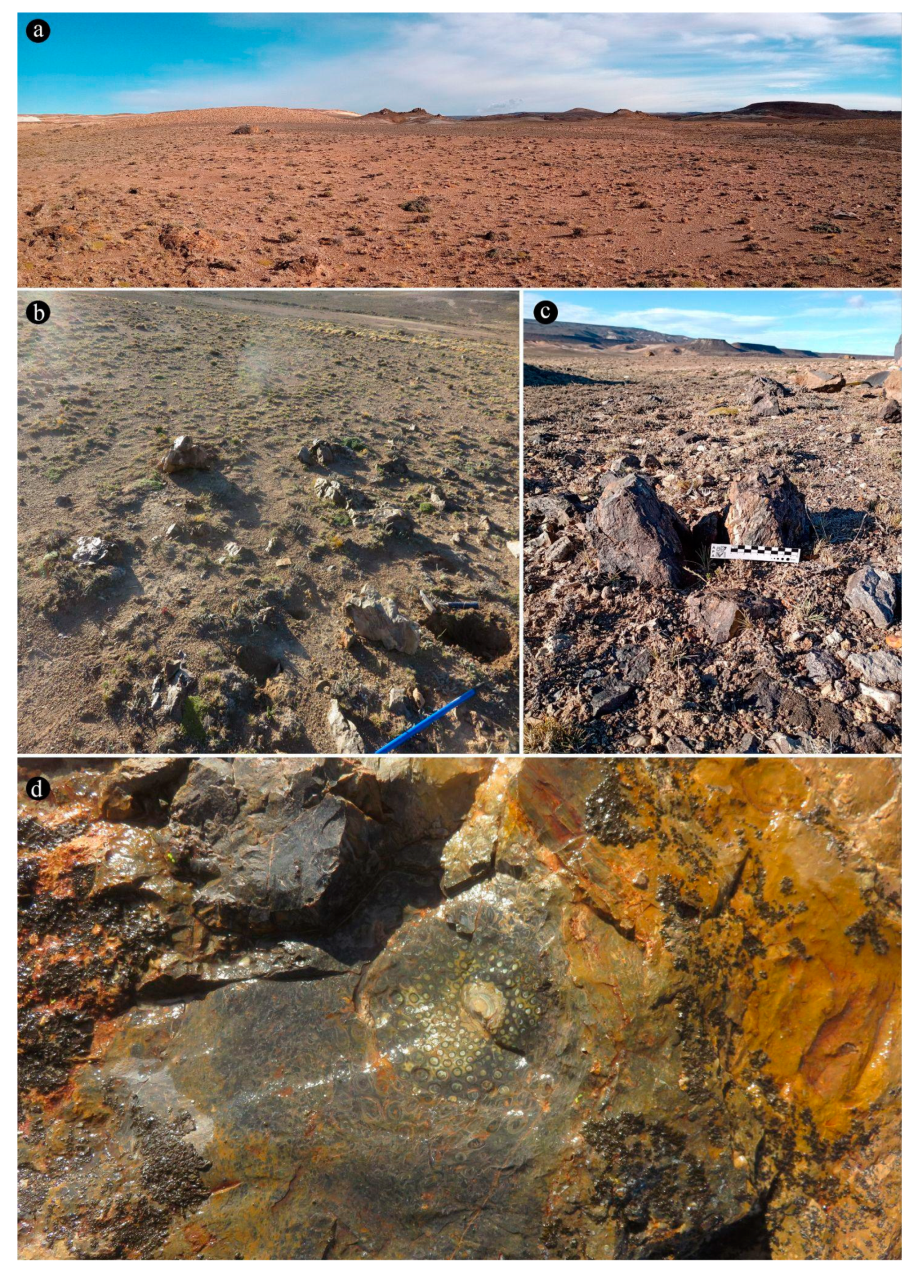 Preprints 141601 g001