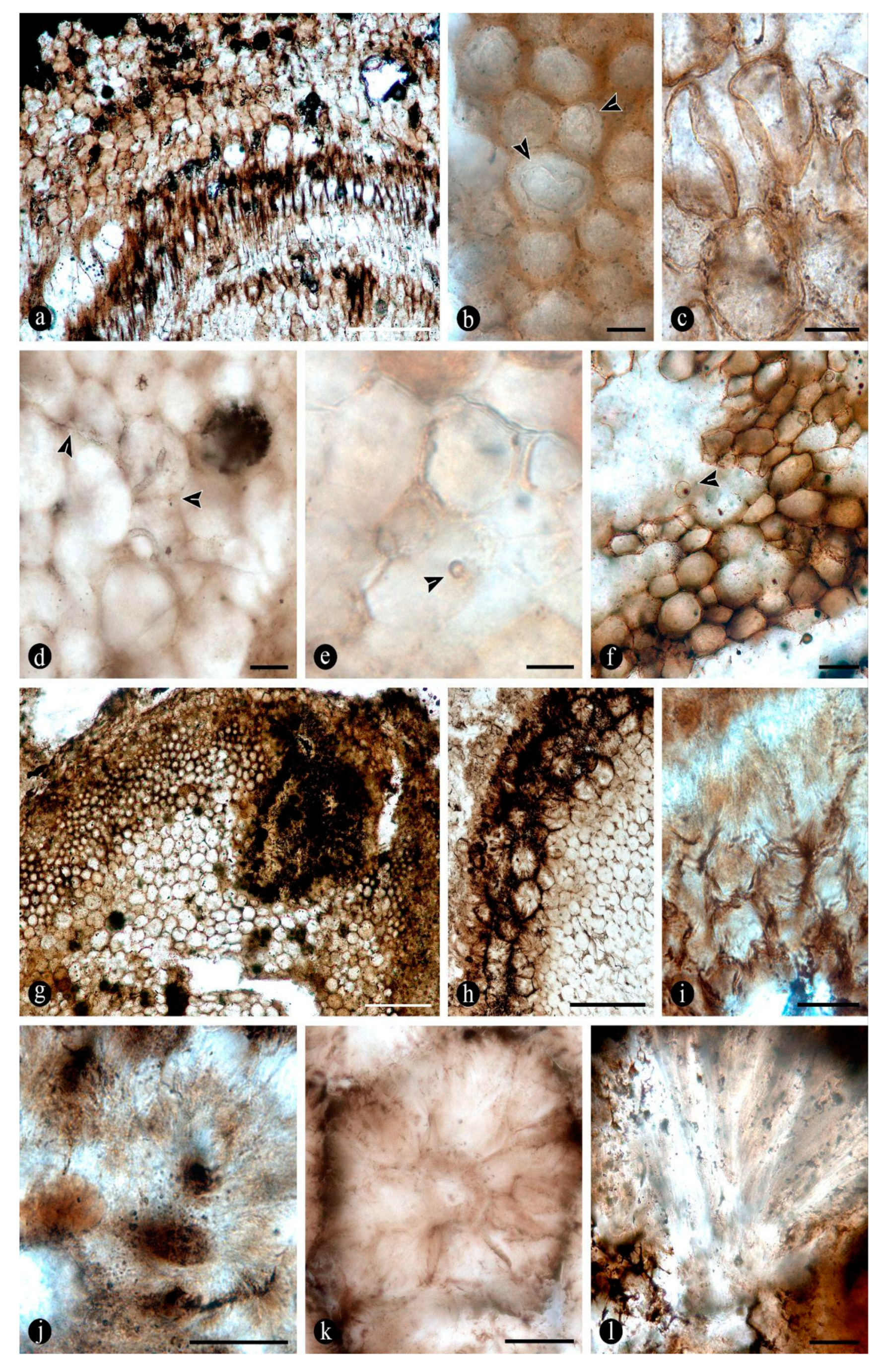 Preprints 141601 g009