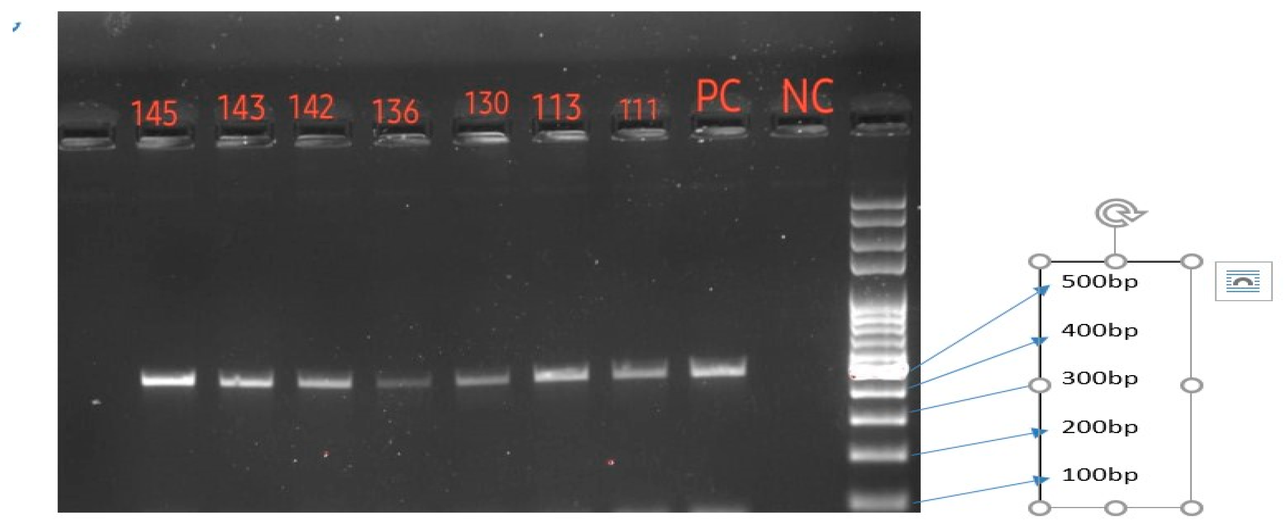 Preprints 95396 g005