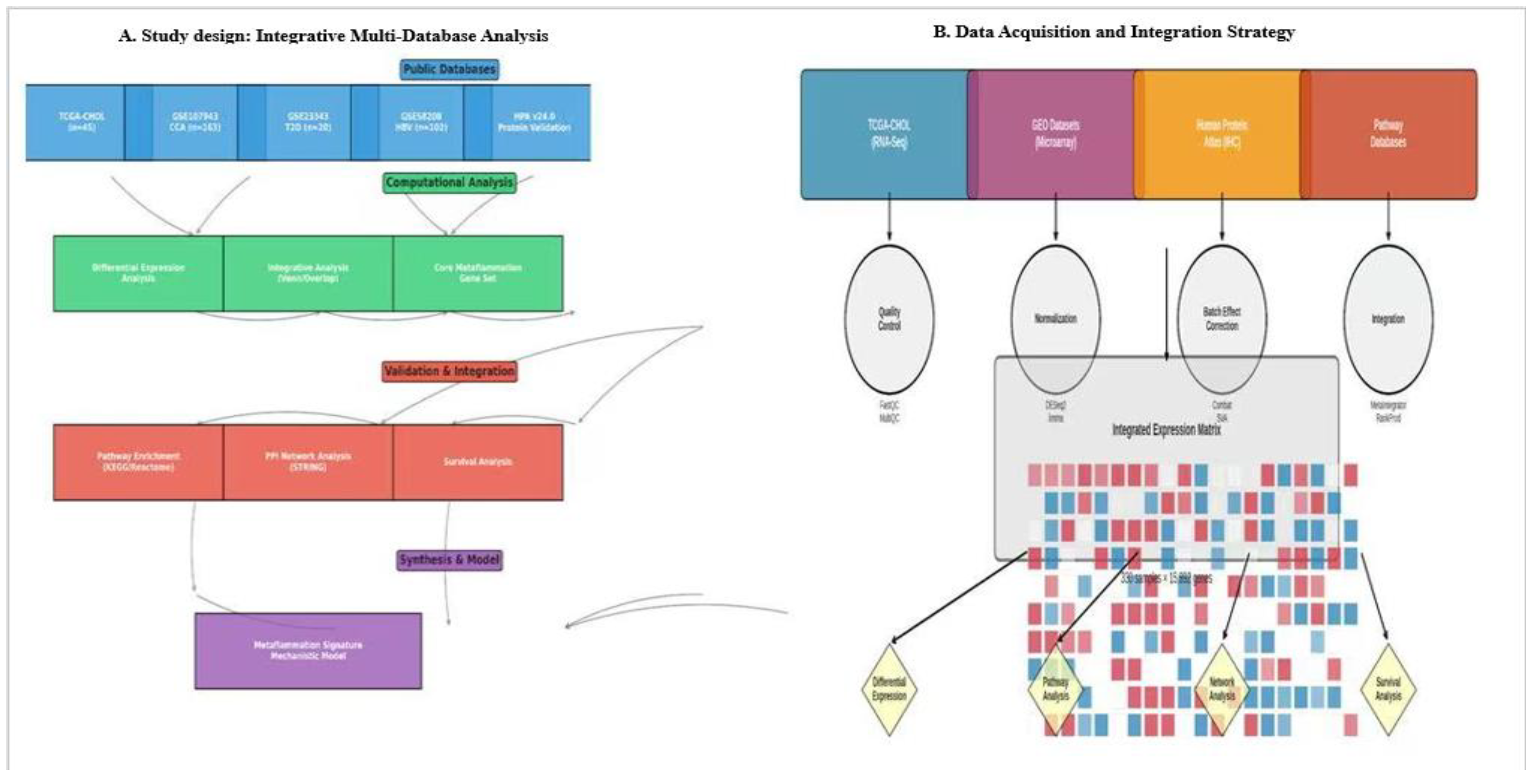 Preprints 199906 g001