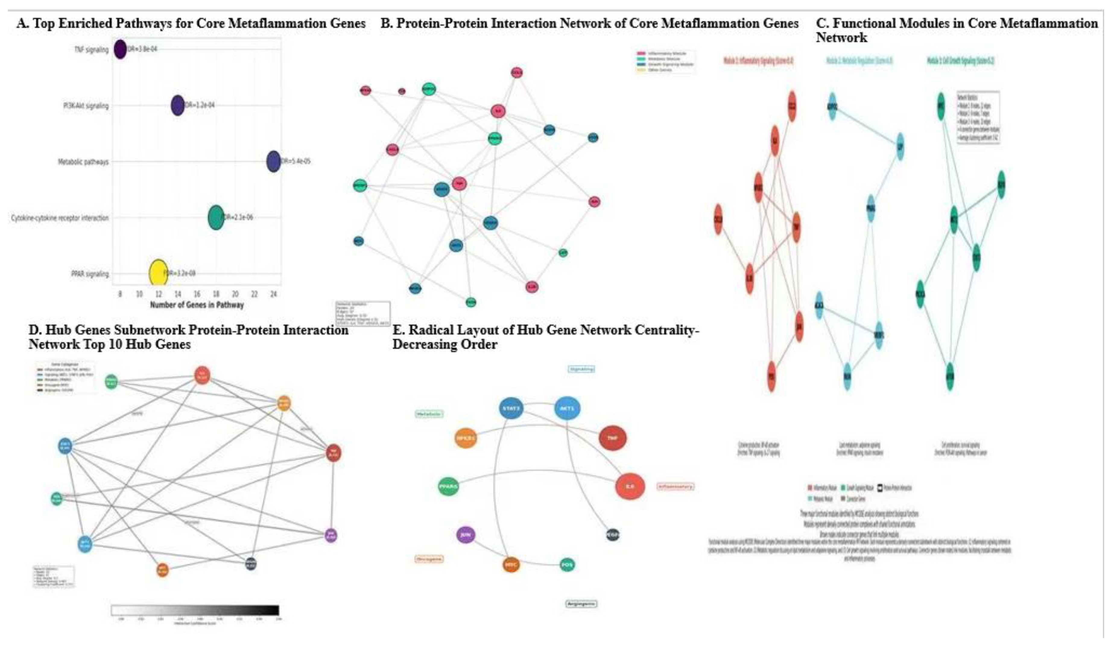 Preprints 199906 g004