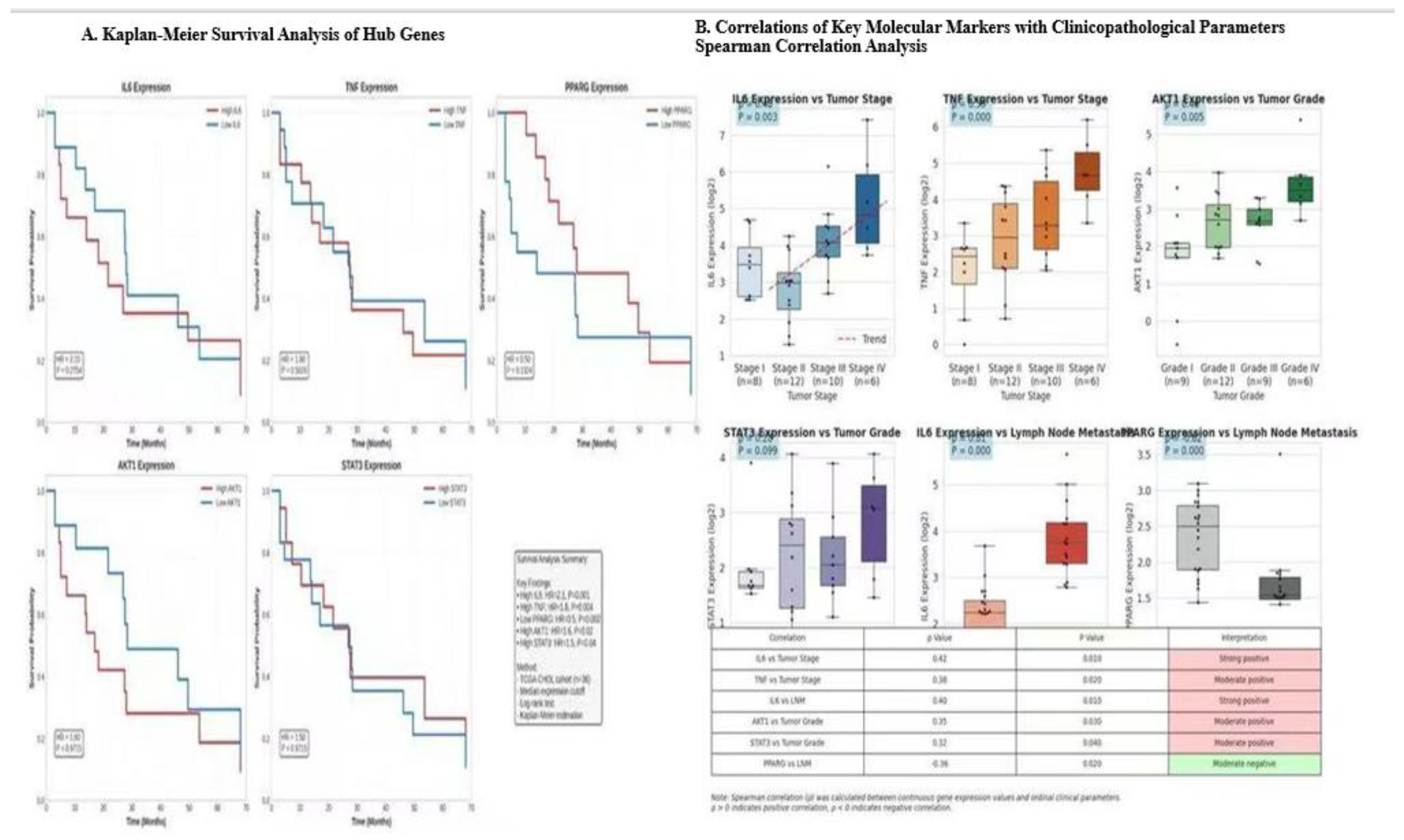 Preprints 199906 g005