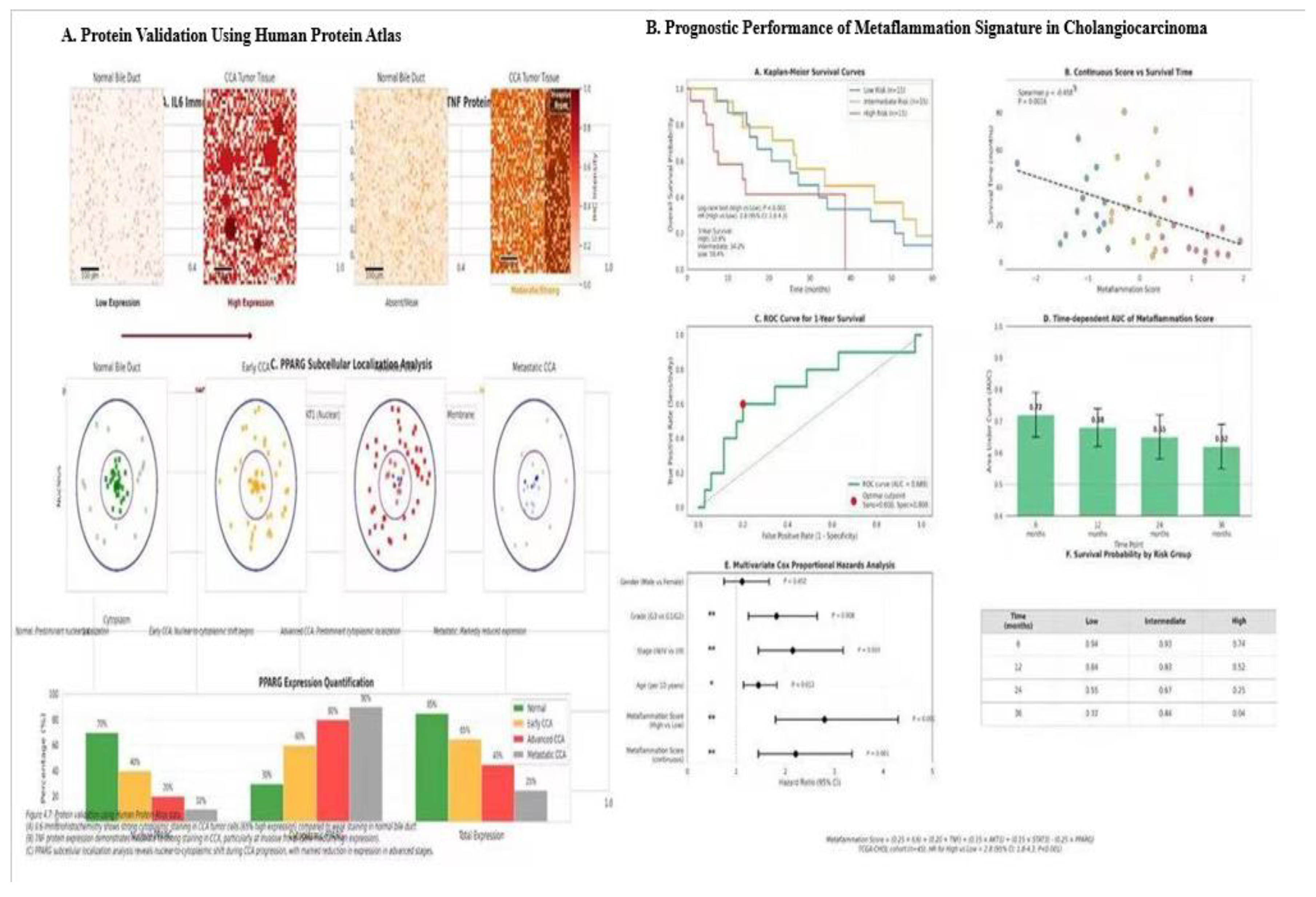 Preprints 199906 g006