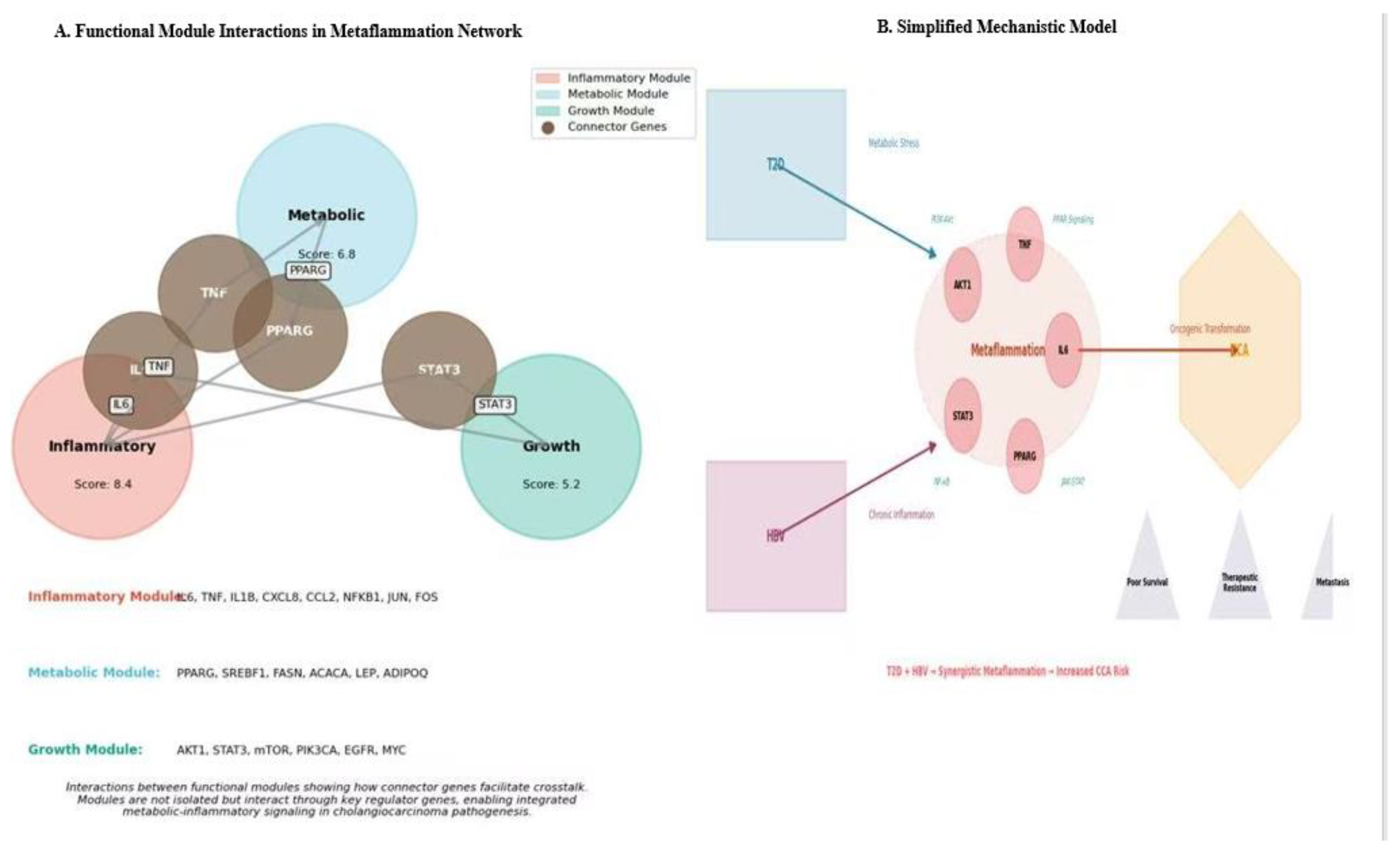 Preprints 199906 g007