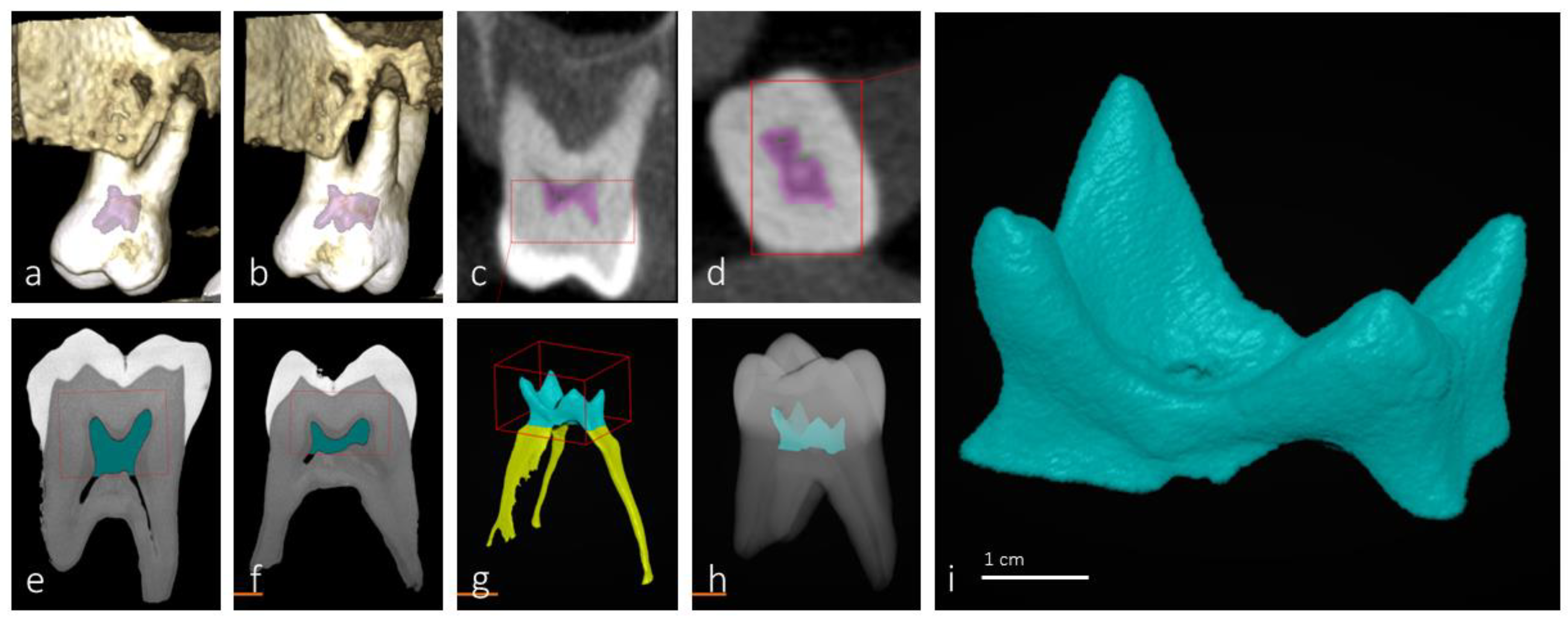 Preprints 106495 g001
