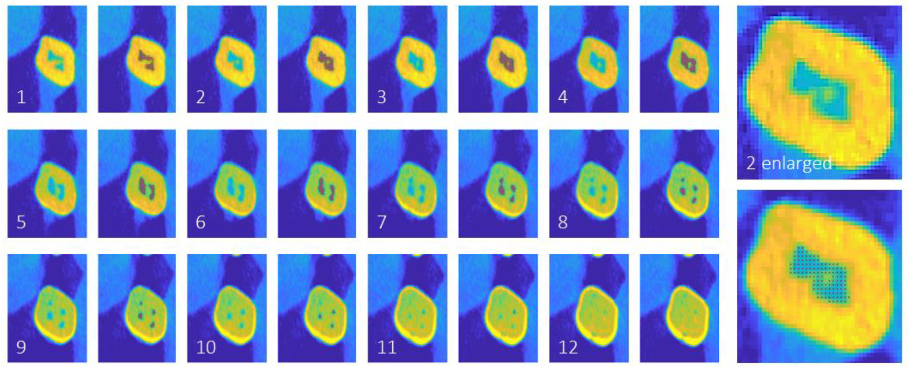 Preprints 106495 g002
