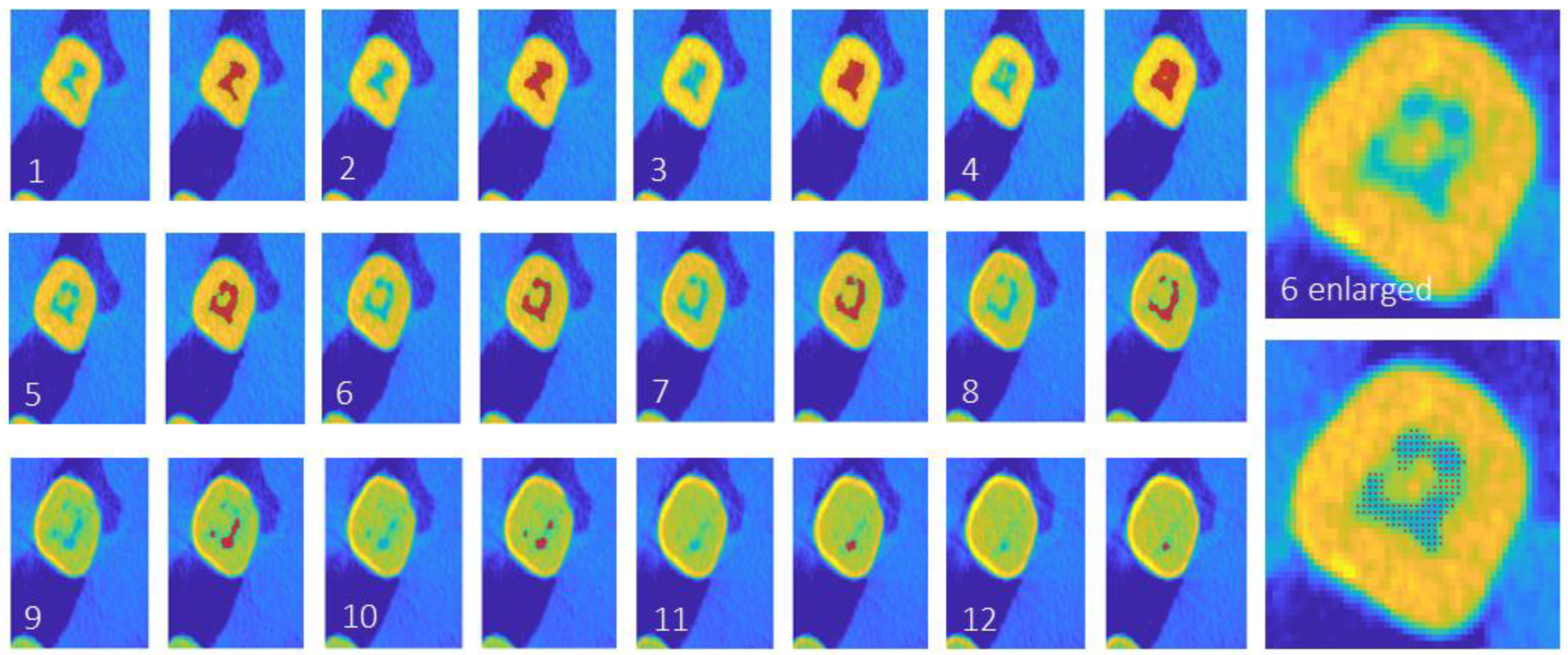Preprints 106495 g003