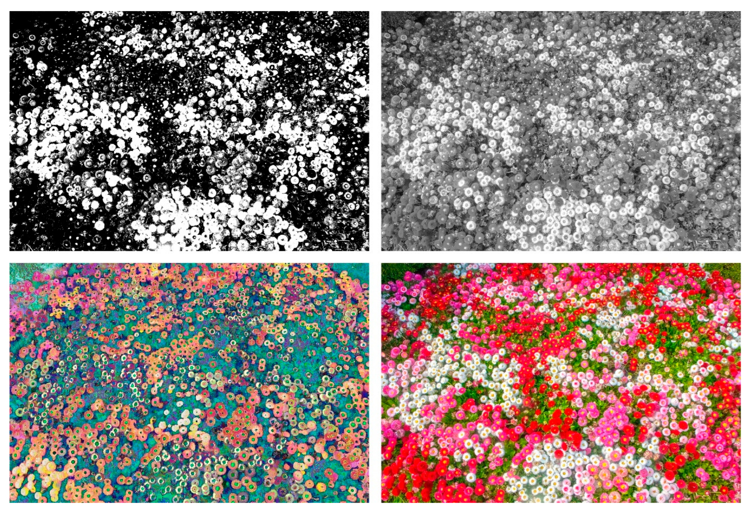 Preprints 178096 g001