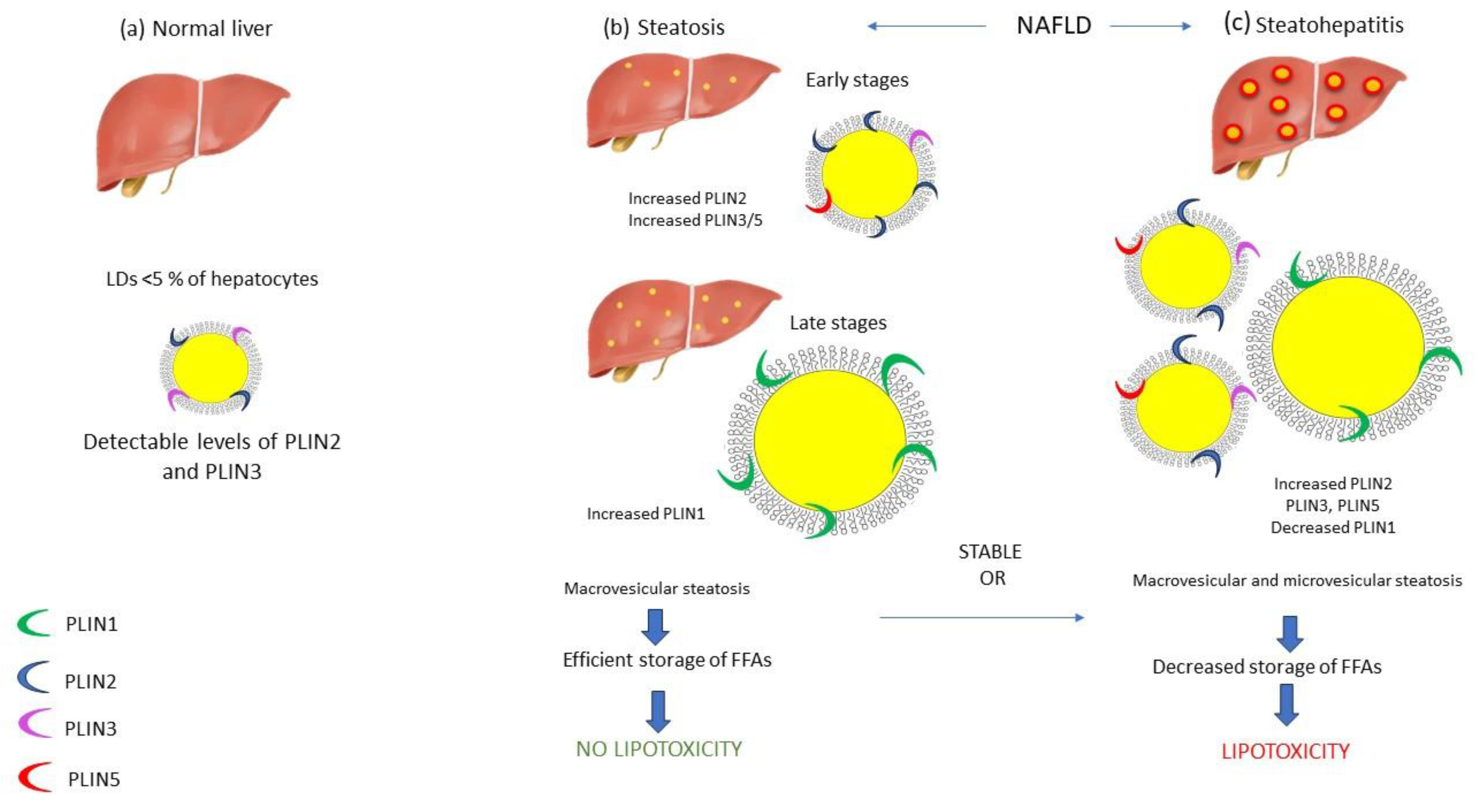 Preprints 87416 g001