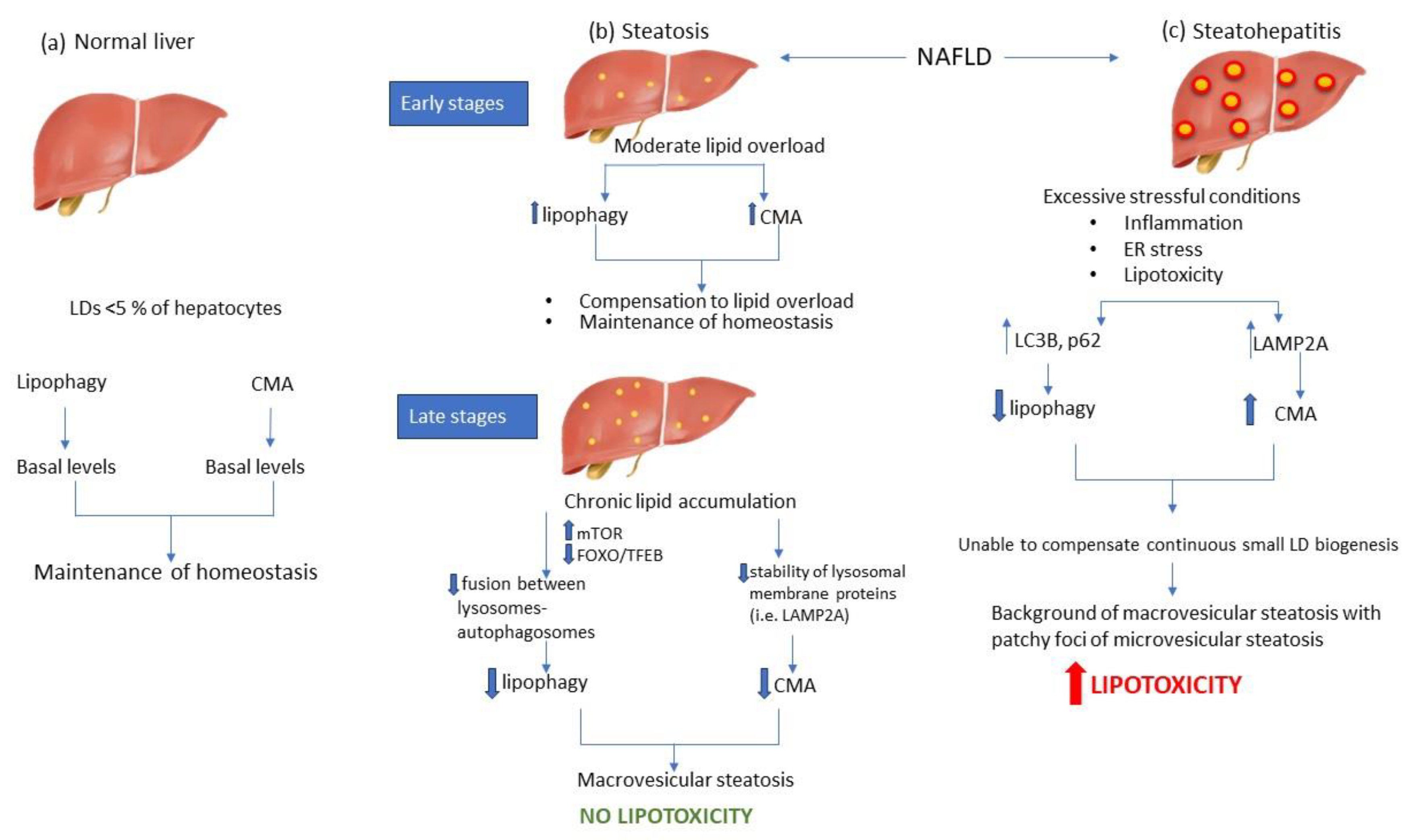 Preprints 87416 g002