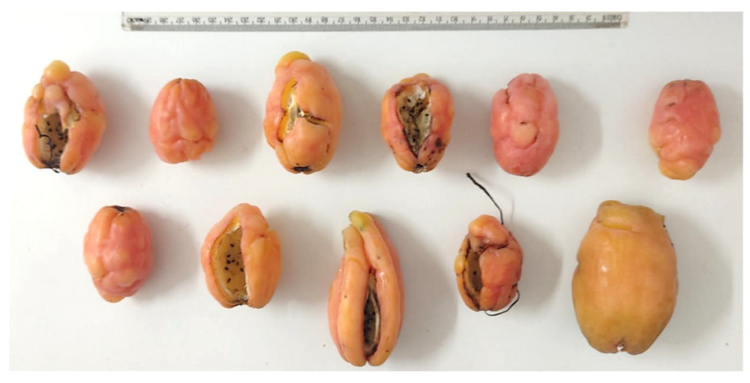 Preprints 194389 g001