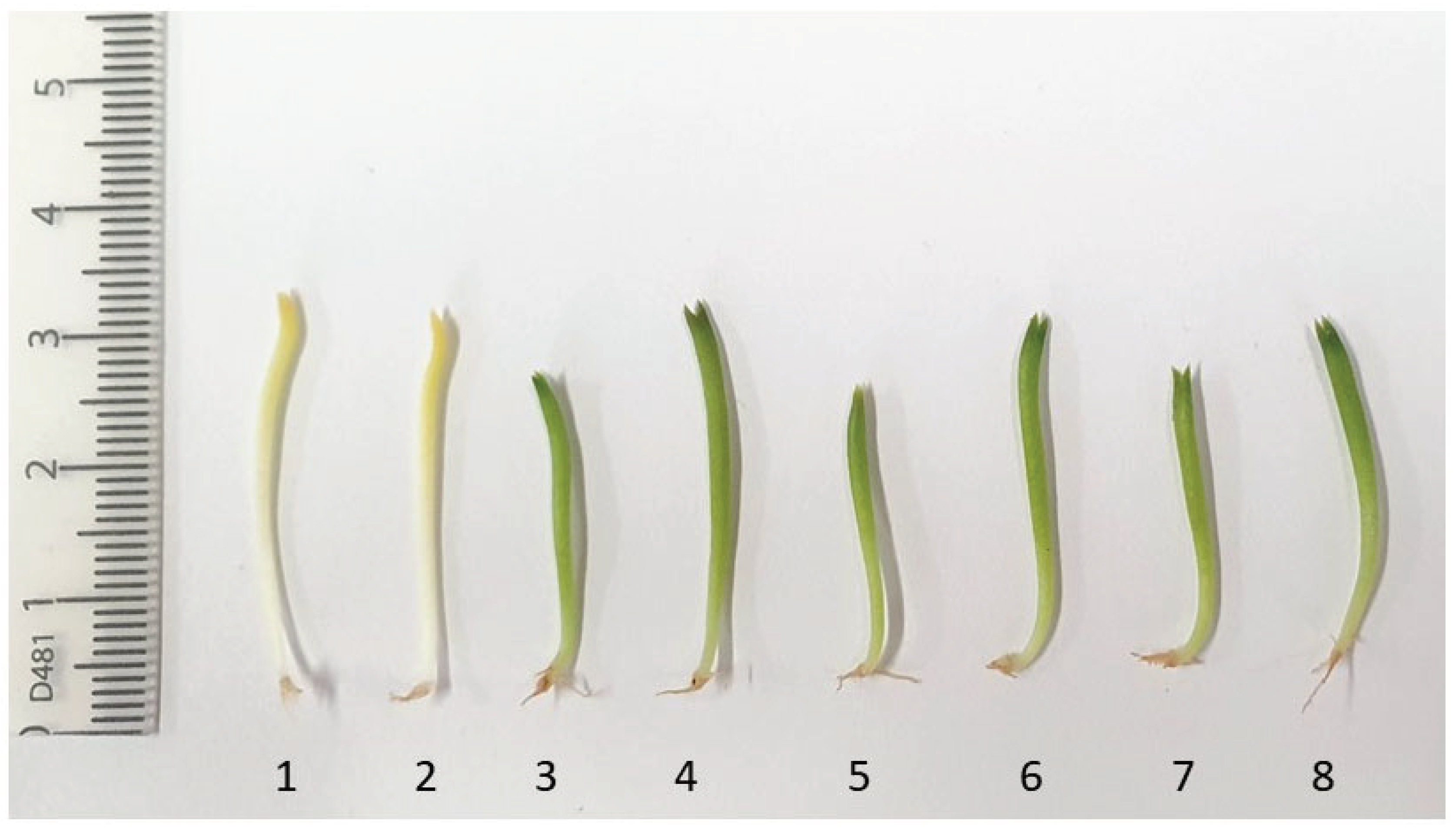 Preprints 194389 g008