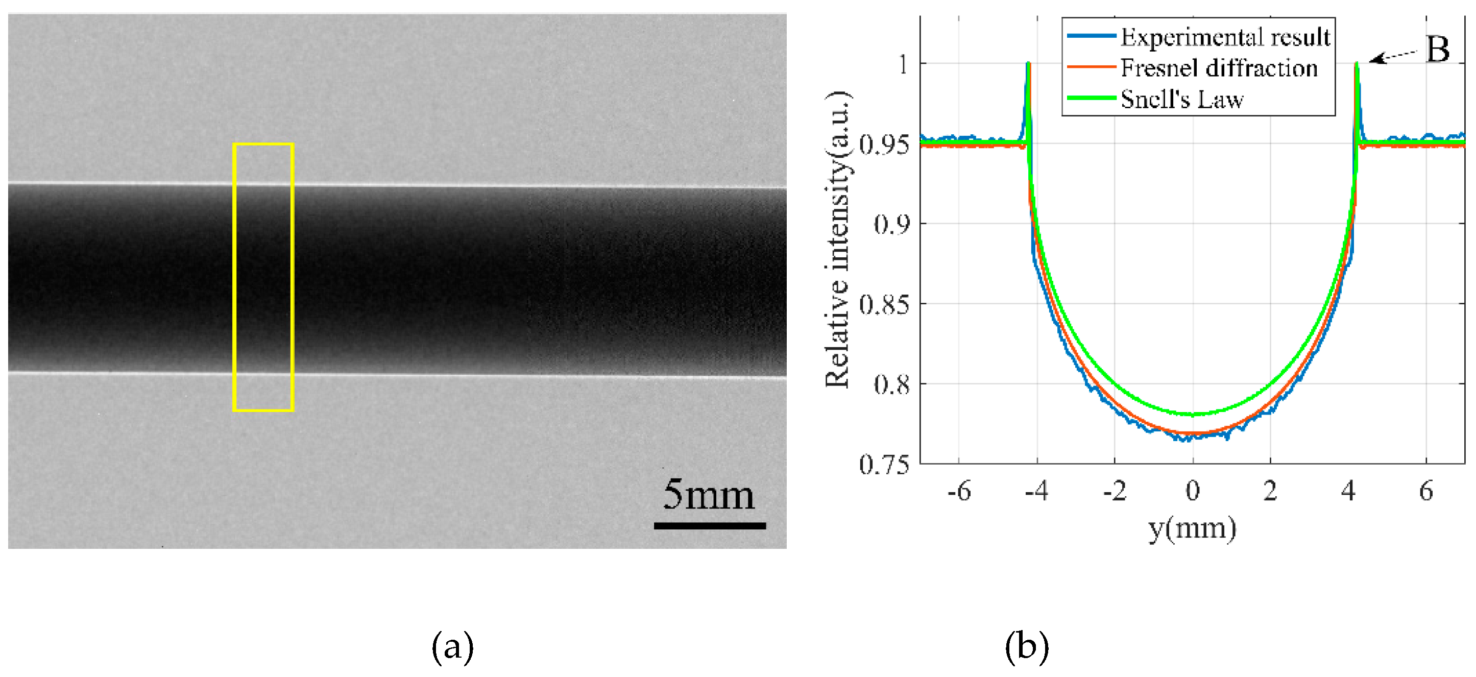 Preprints 145801 g007