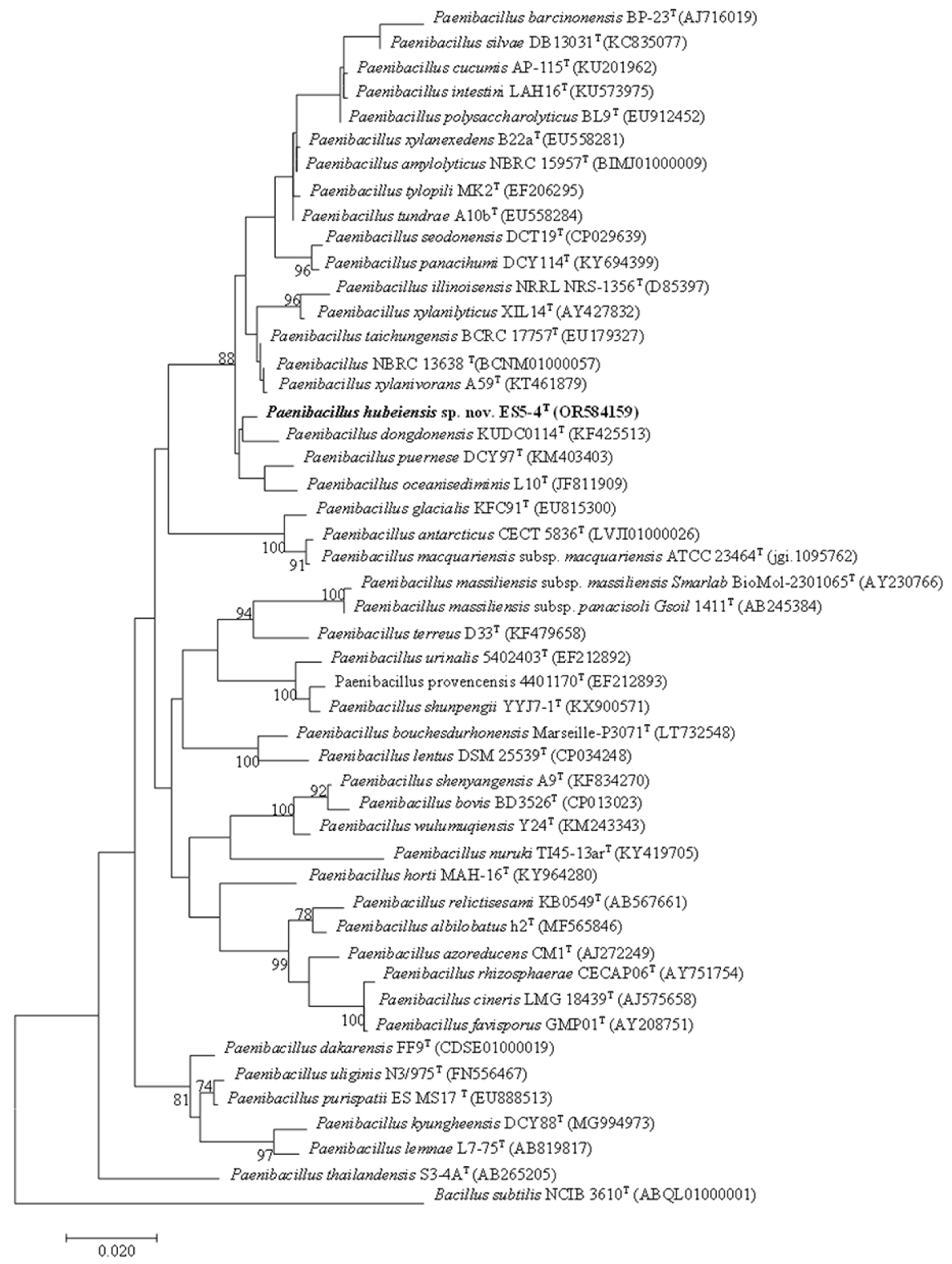 Preprints 163441 g001