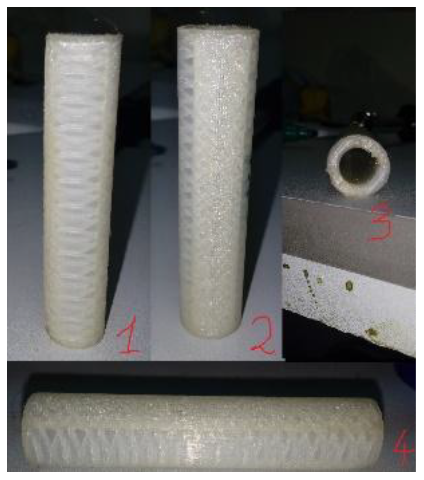 Preprints 152975 g013