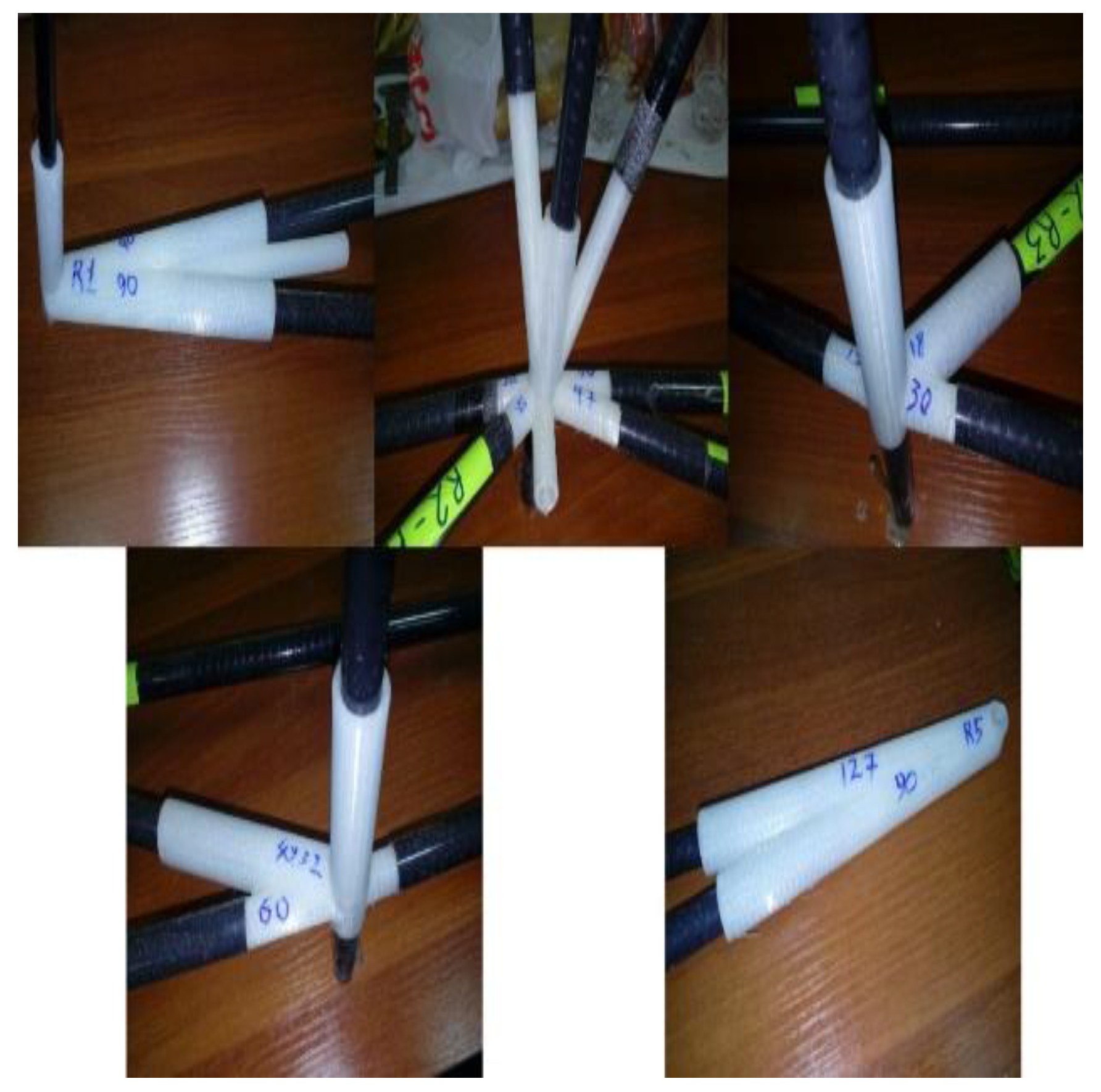 Preprints 152975 g015