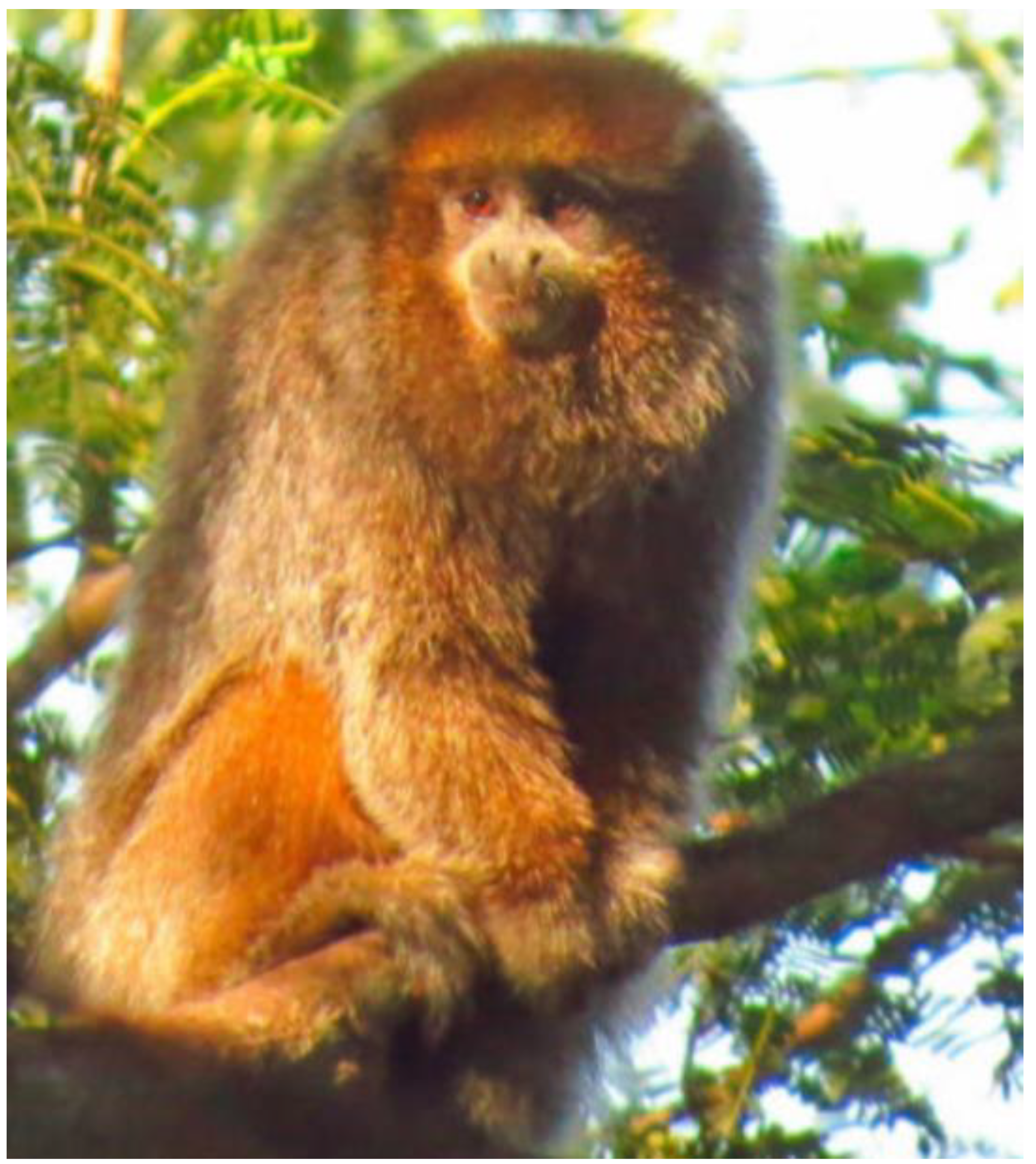 Preprints 138364 g004