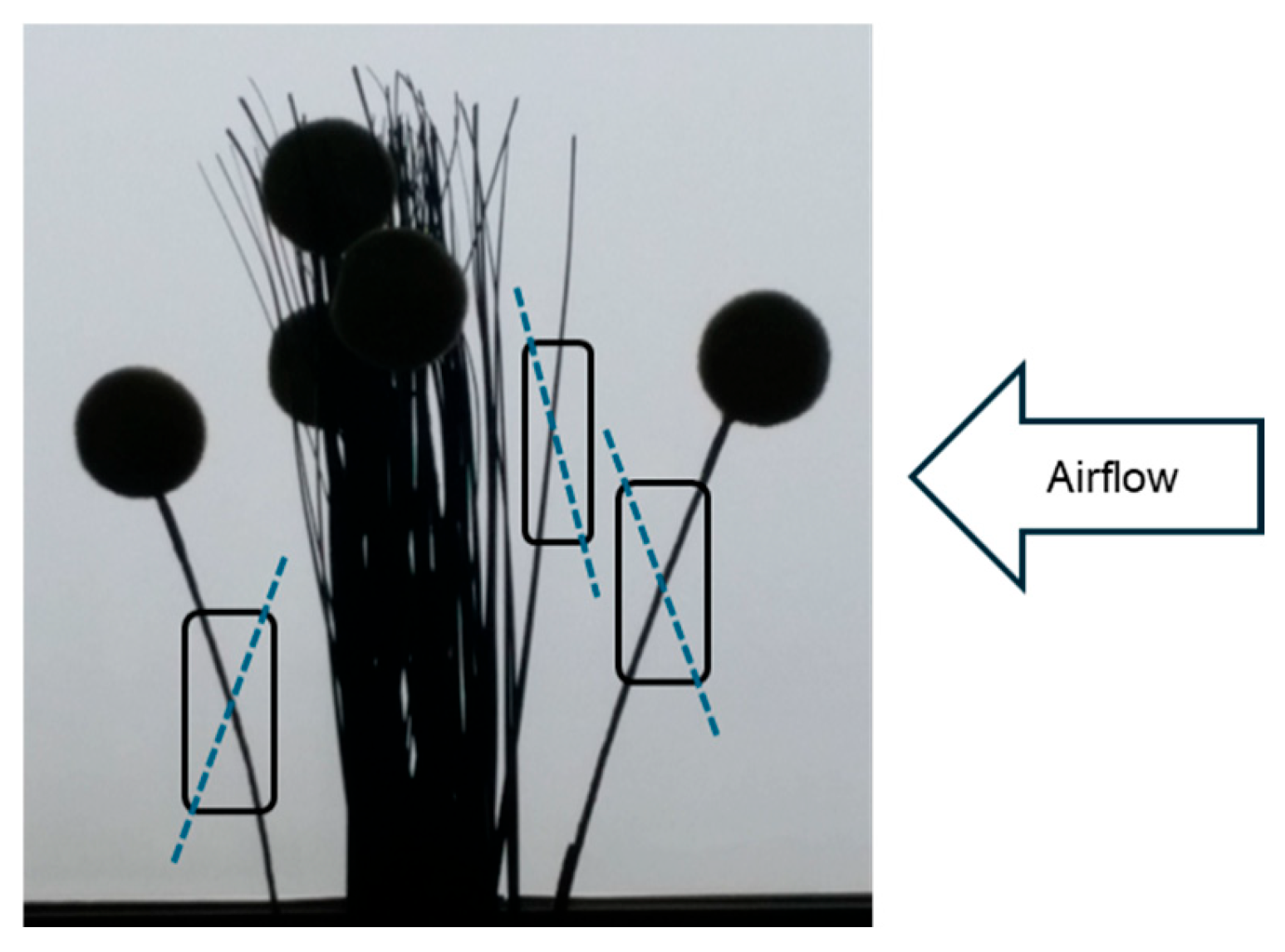 Preprints 206799 g008