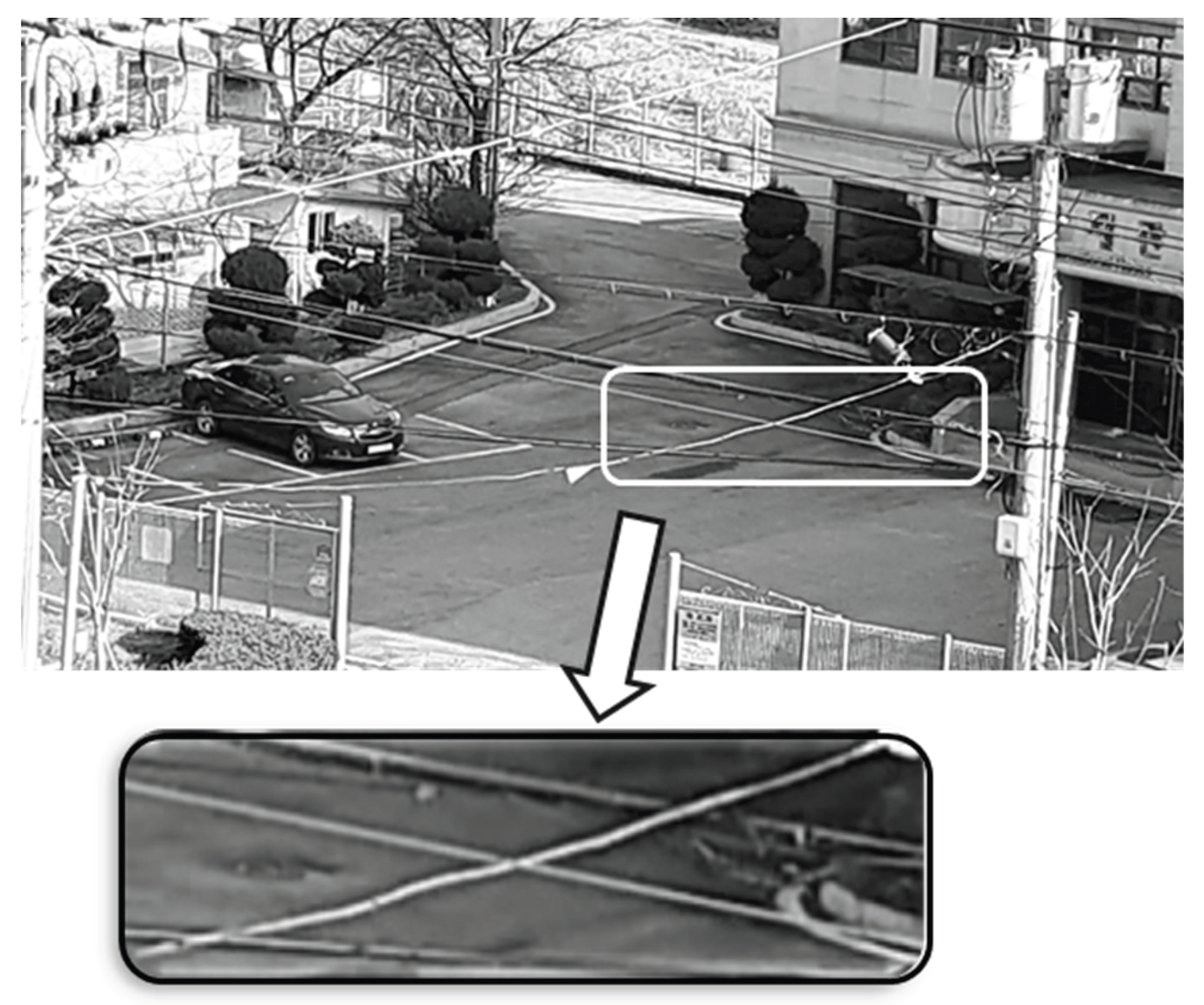 Preprints 206799 g017