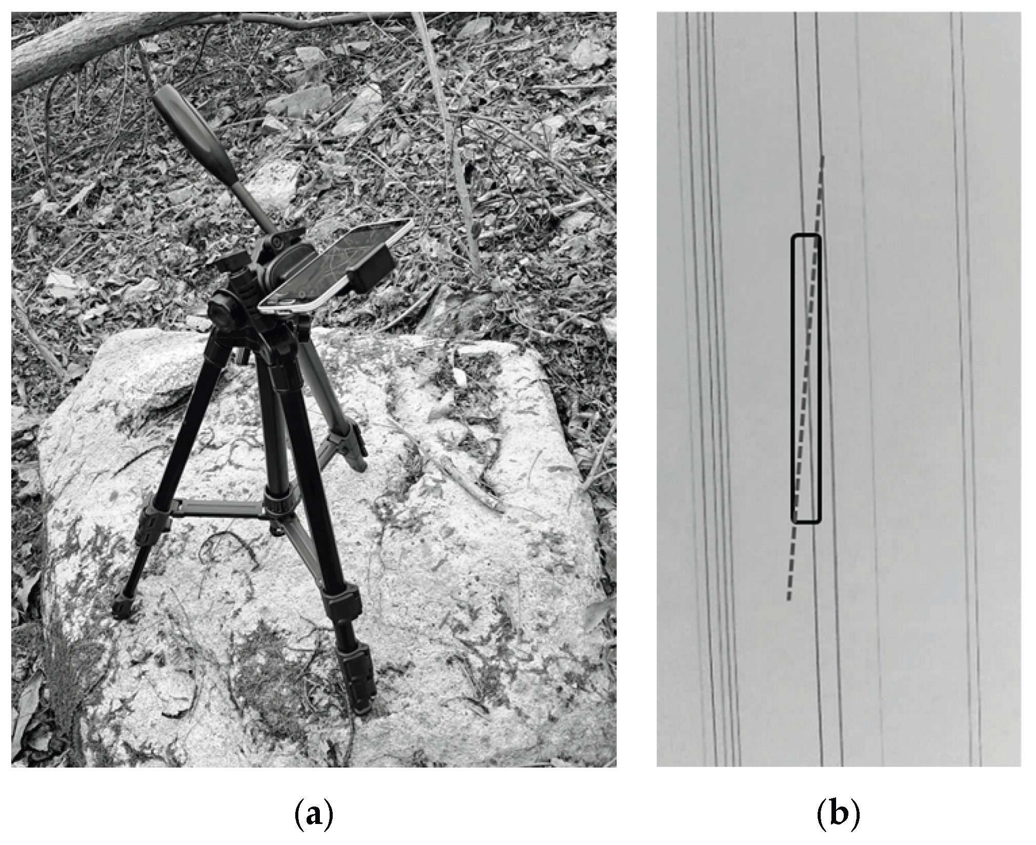 Preprints 206799 g019