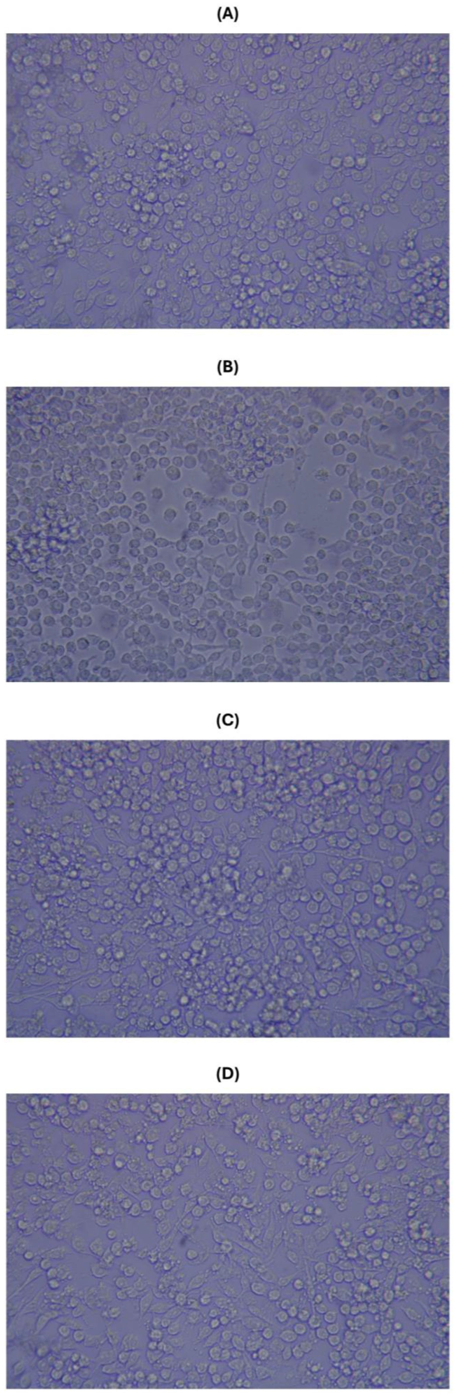 Preprints 196428 g003