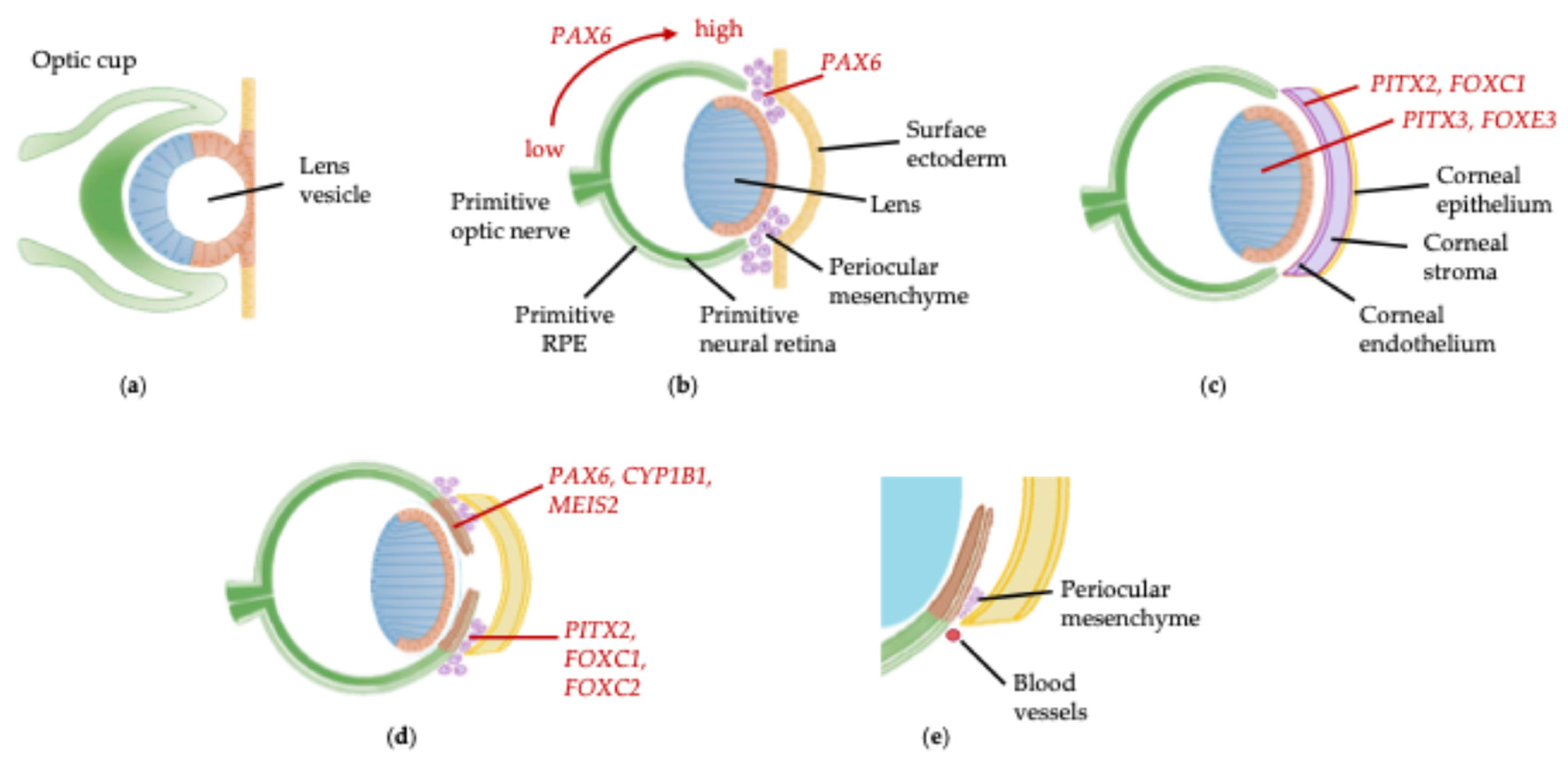 Preprints 168759 g001