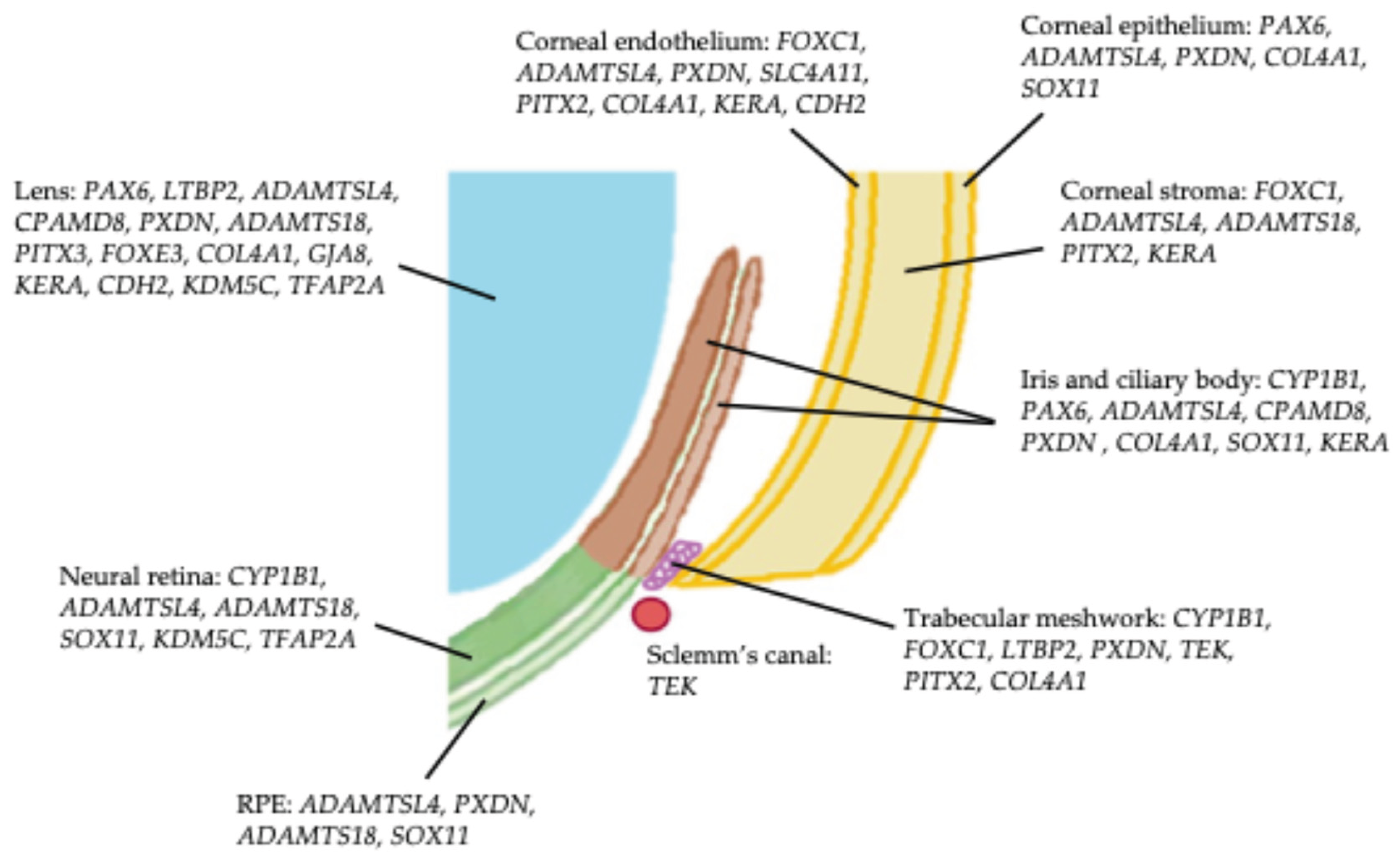 Preprints 168759 g003