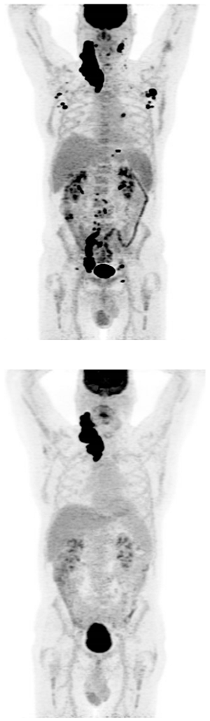 Preprints 147489 i002