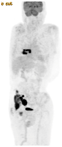 Preprints 147489 i003