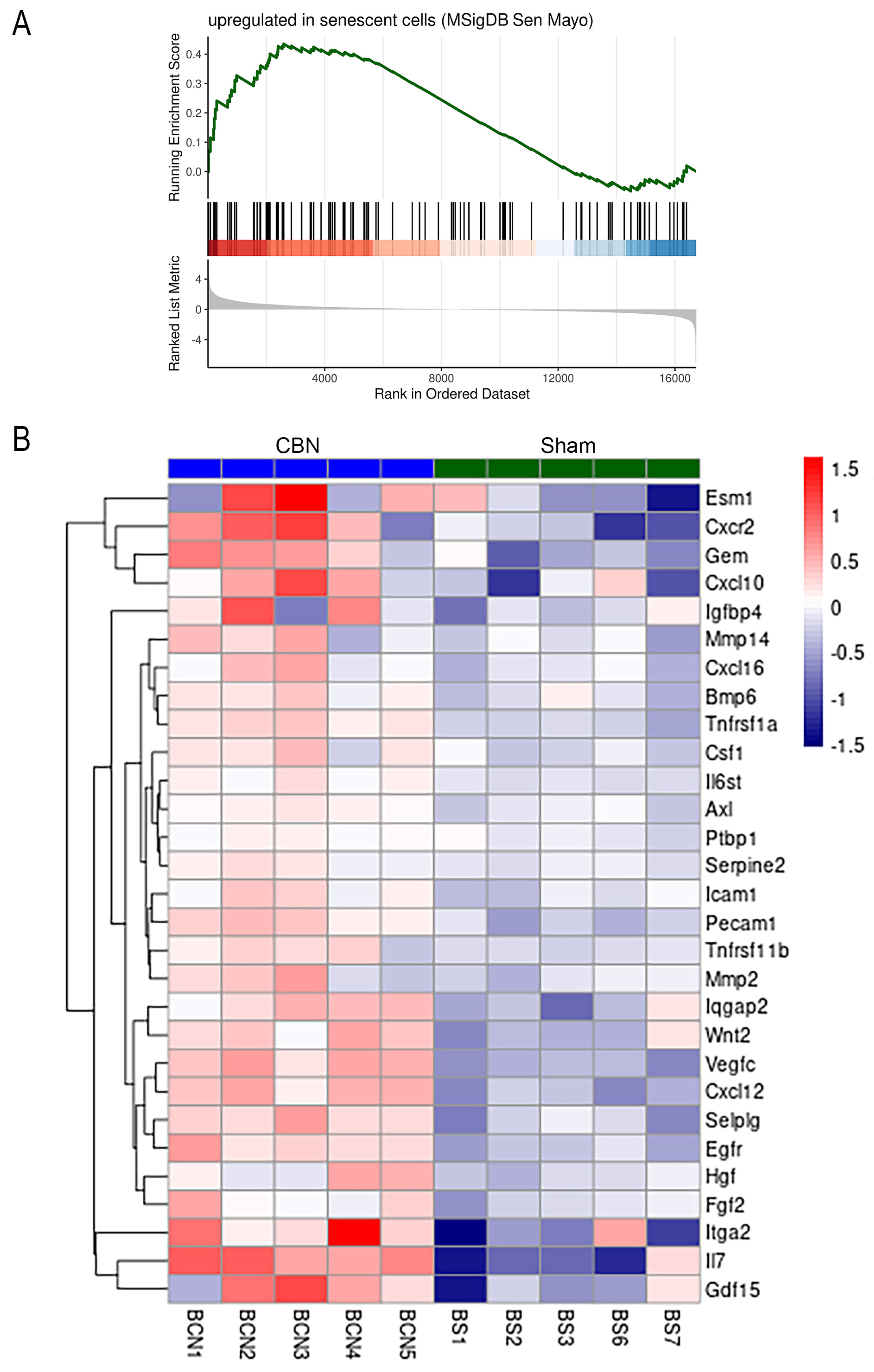 Preprints 163421 g006