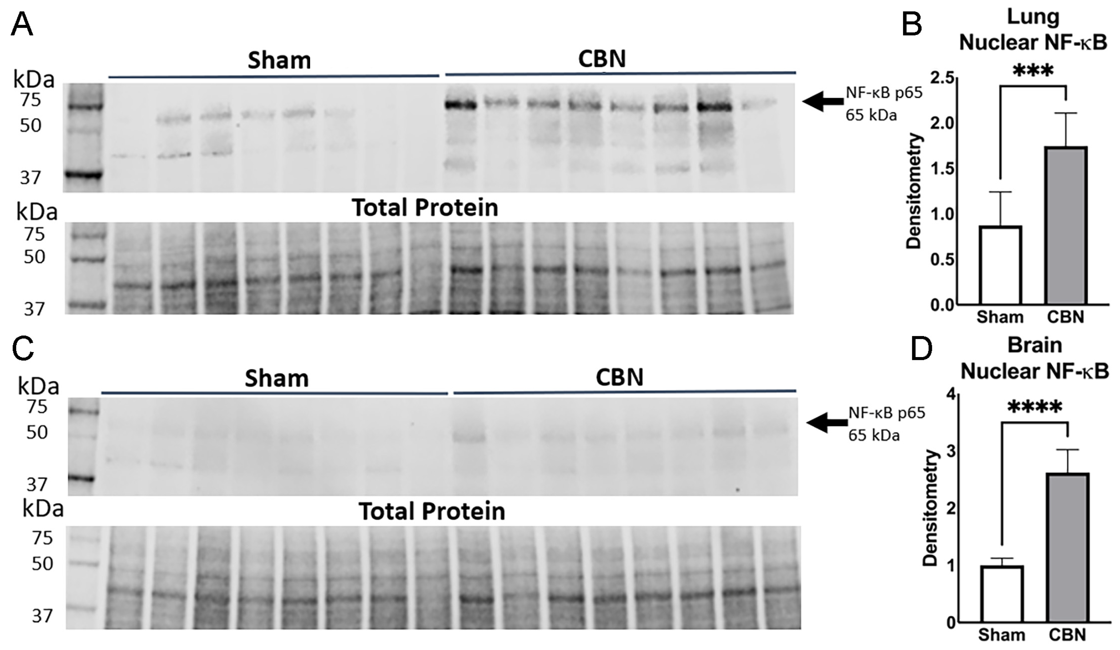 Preprints 163421 g007