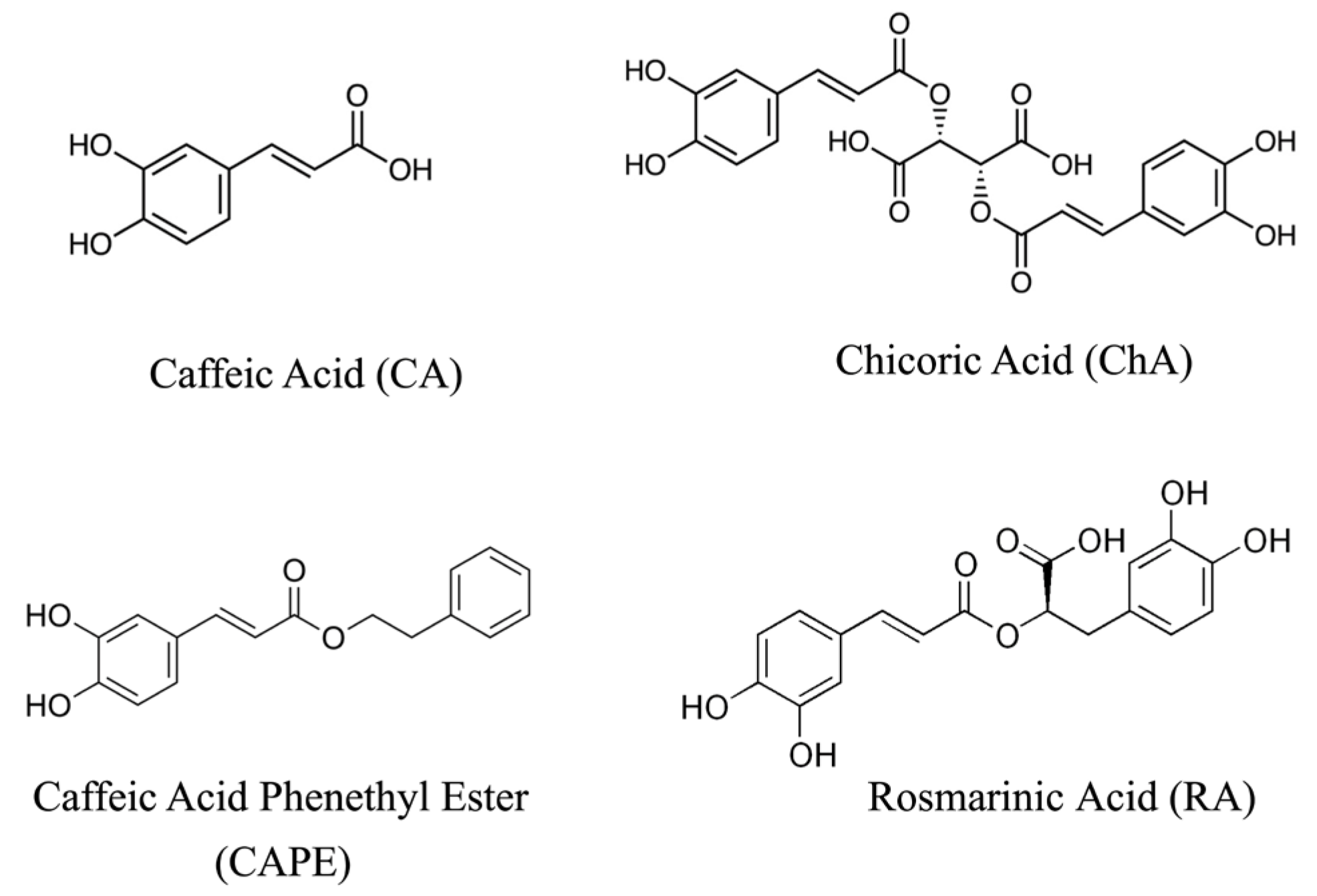 Polyphenols Suppress Intracellular Zinc Deficiency–Induced ROS