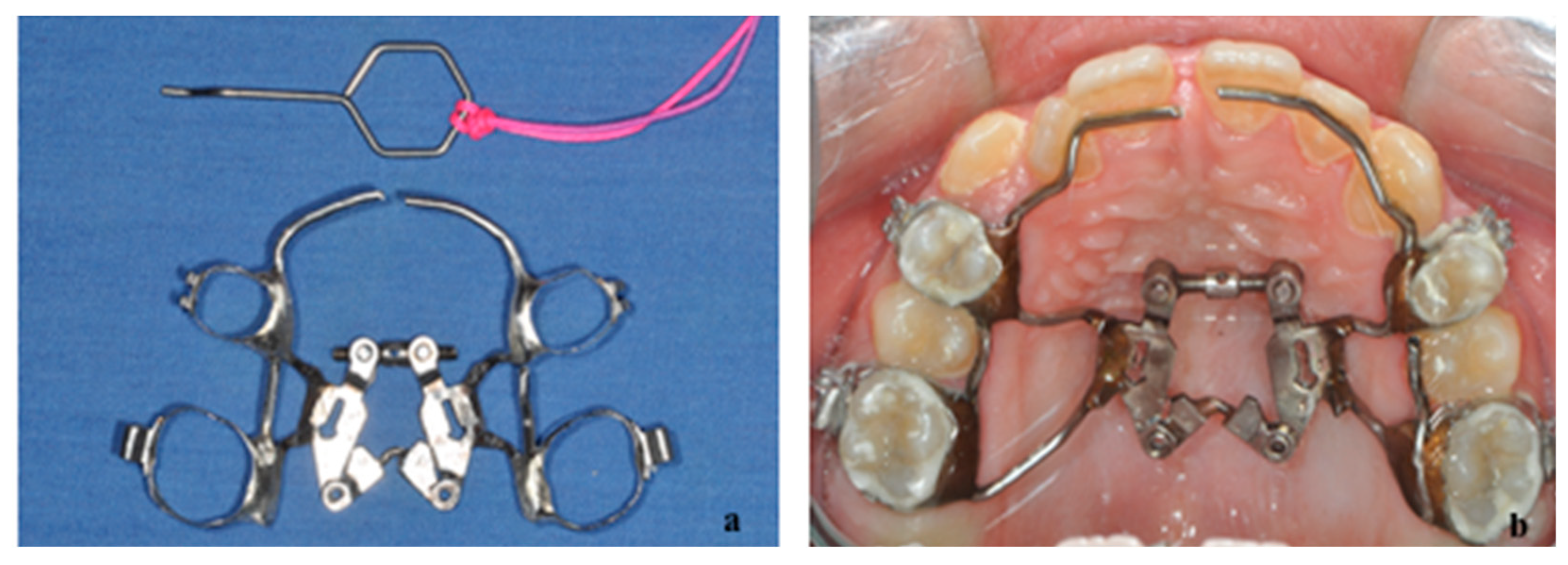 Preprints 191343 g001