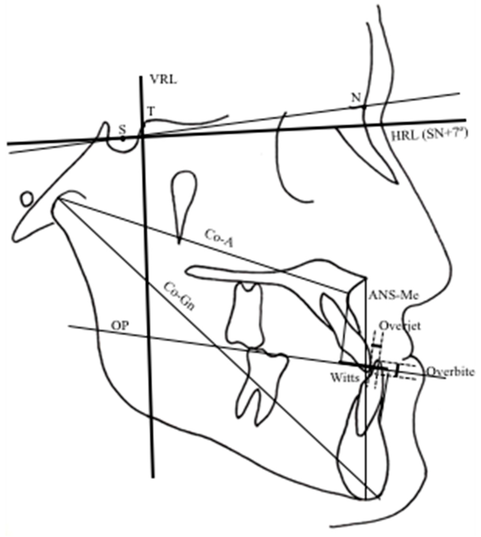 Preprints 191343 g004
