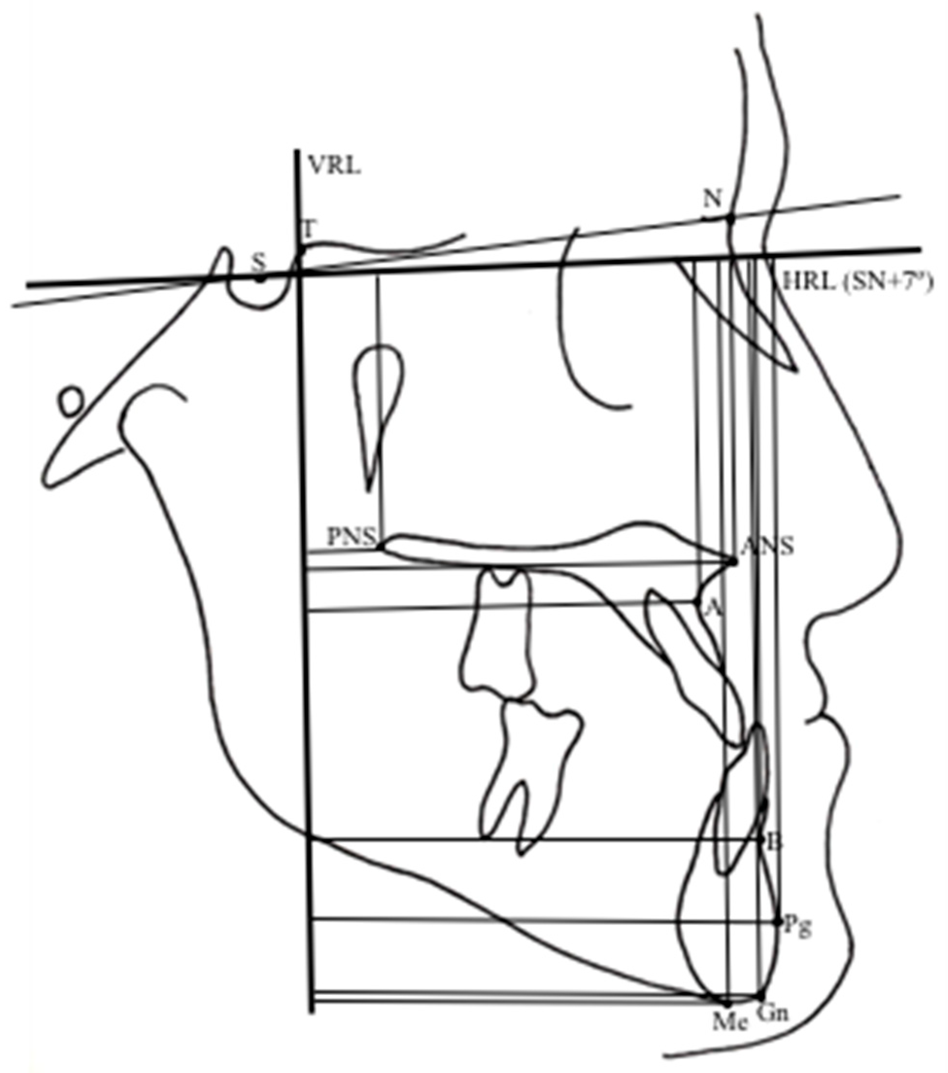 Preprints 191343 g005